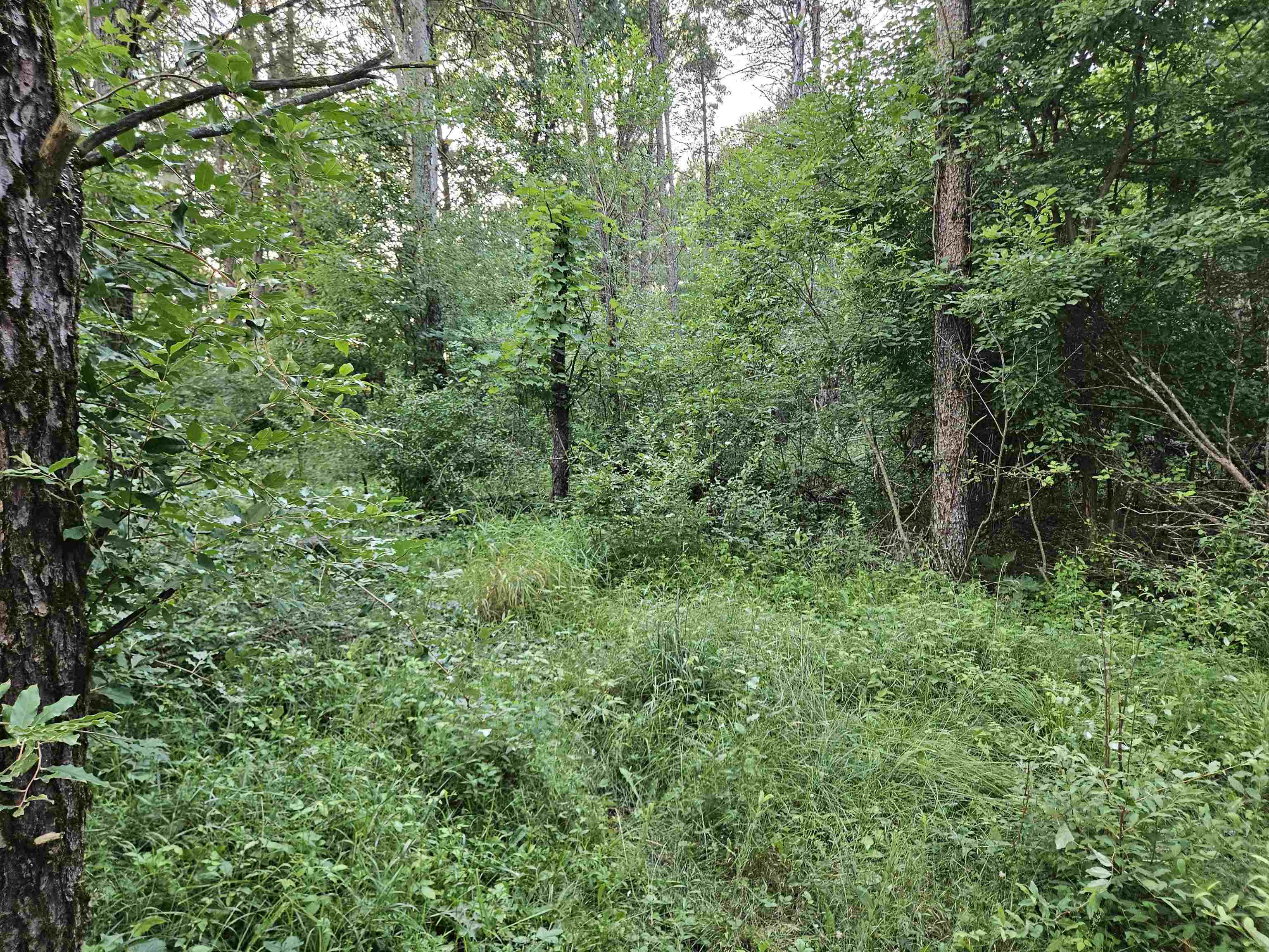 0 Gale Wisconsin Dells, WI 53965 - Photo 3 of 13