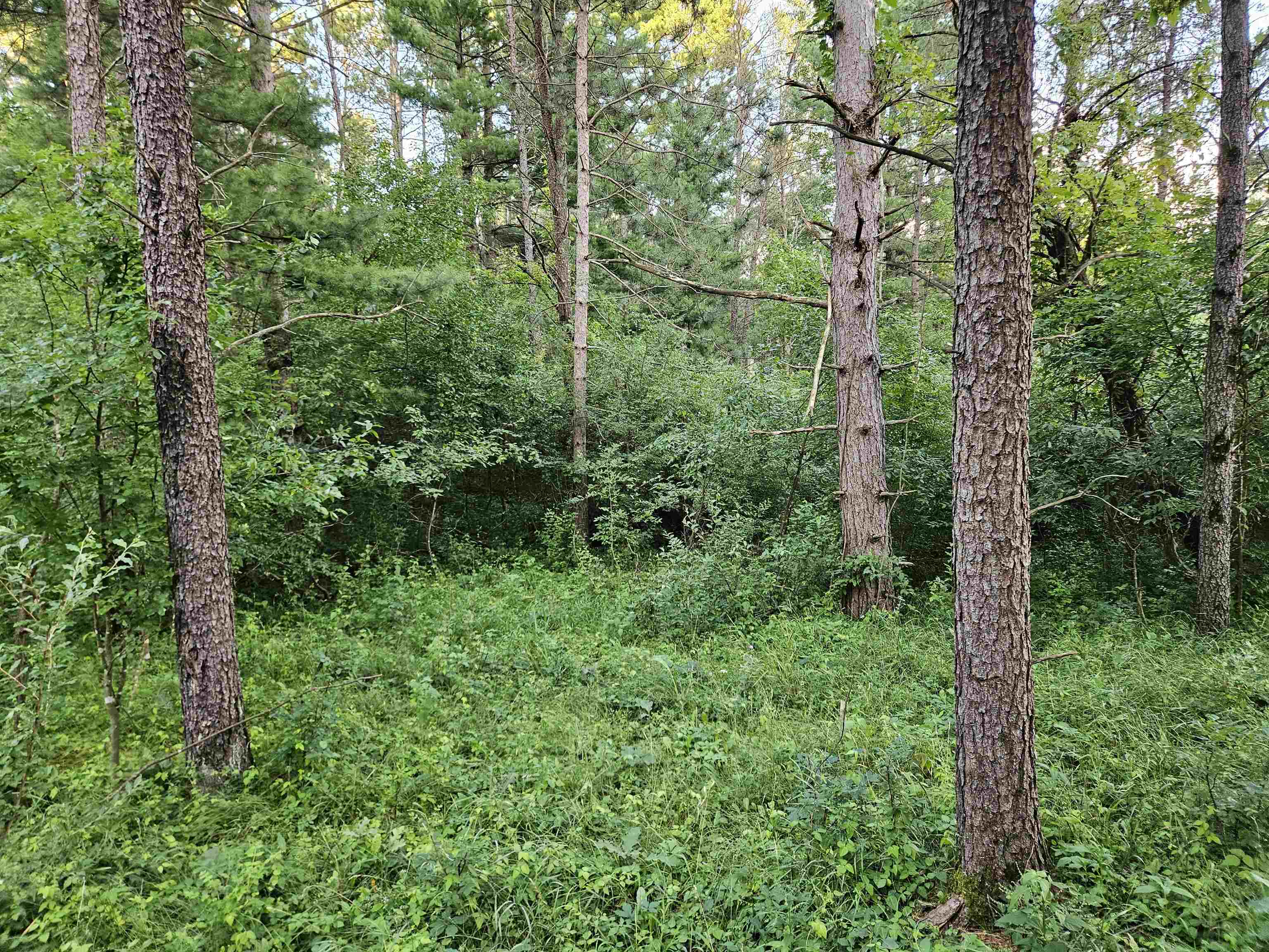 0 Gale Wisconsin Dells, WI 53965 - Photo 5 of 13