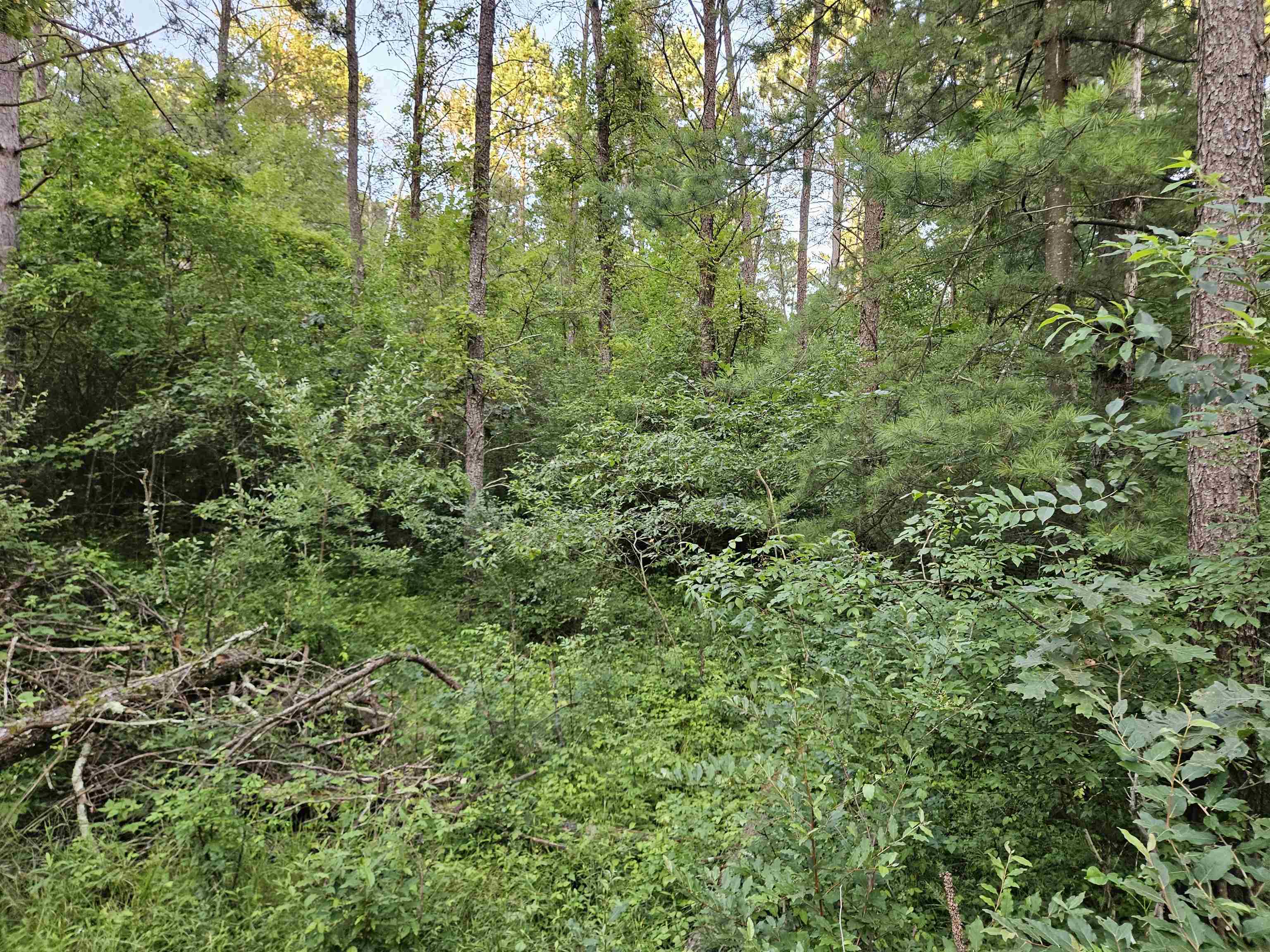 0 Gale Wisconsin Dells, WI 53965 - Photo 6 of 13