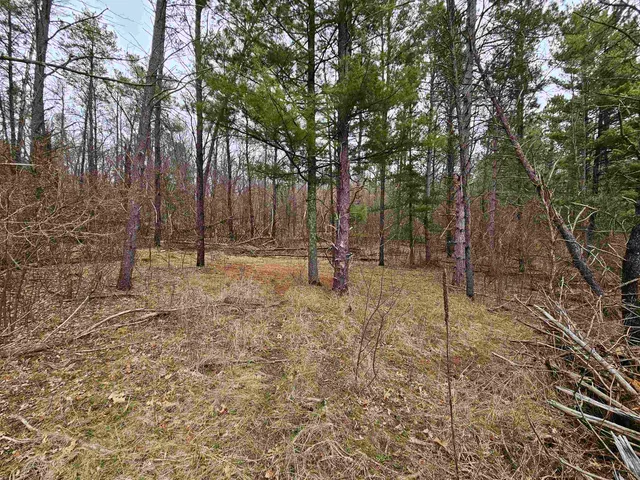 $24,900 | 0 Gale, Wisconsin Dells, WI 53965