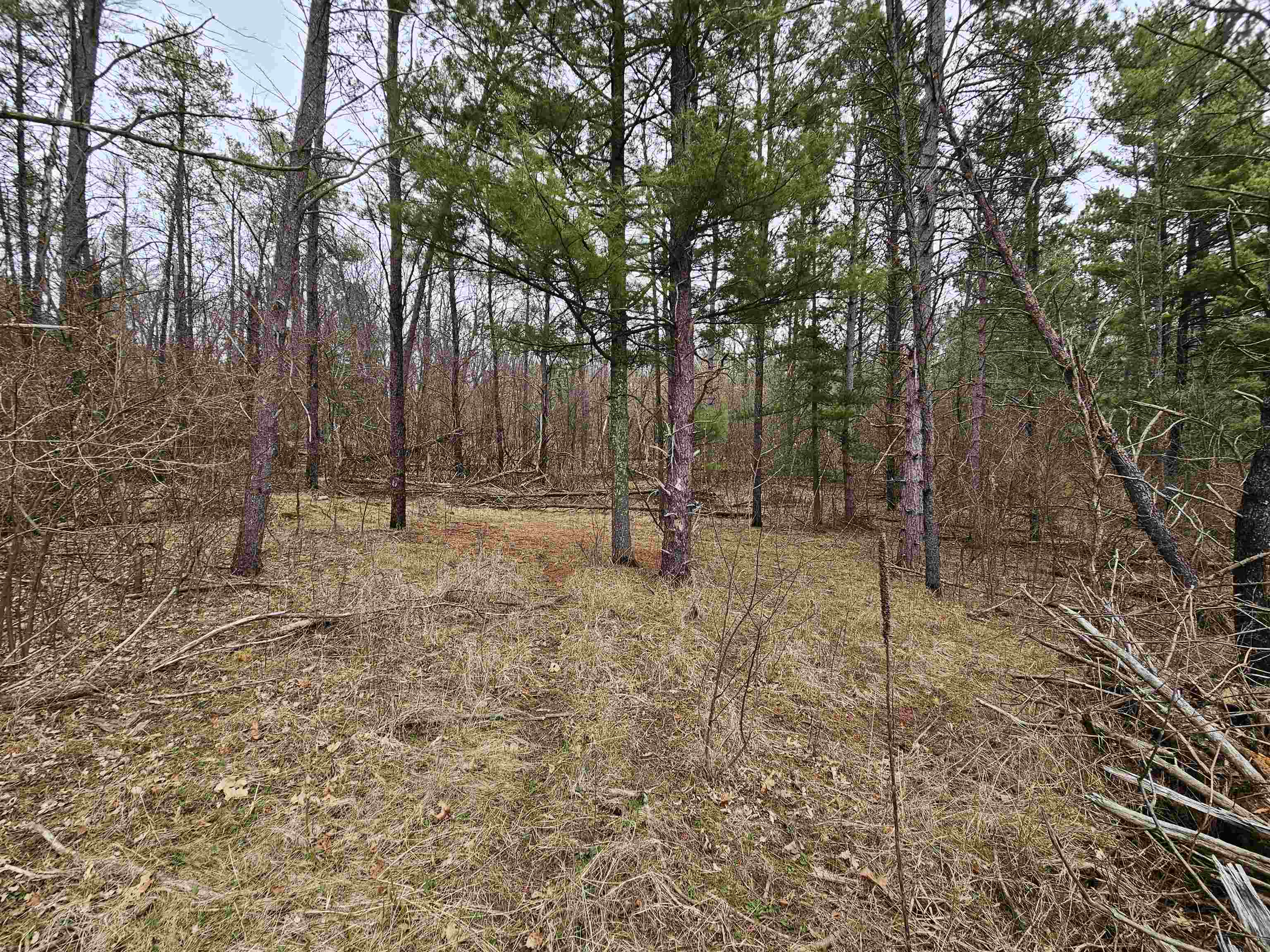 0 Gale Wisconsin Dells, WI 53965 - Photo 10 of 13