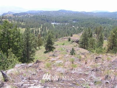 111110 7 Lakes Road Okanogan, WA 98840 - Photo 1 of 1 Gallery Image 1