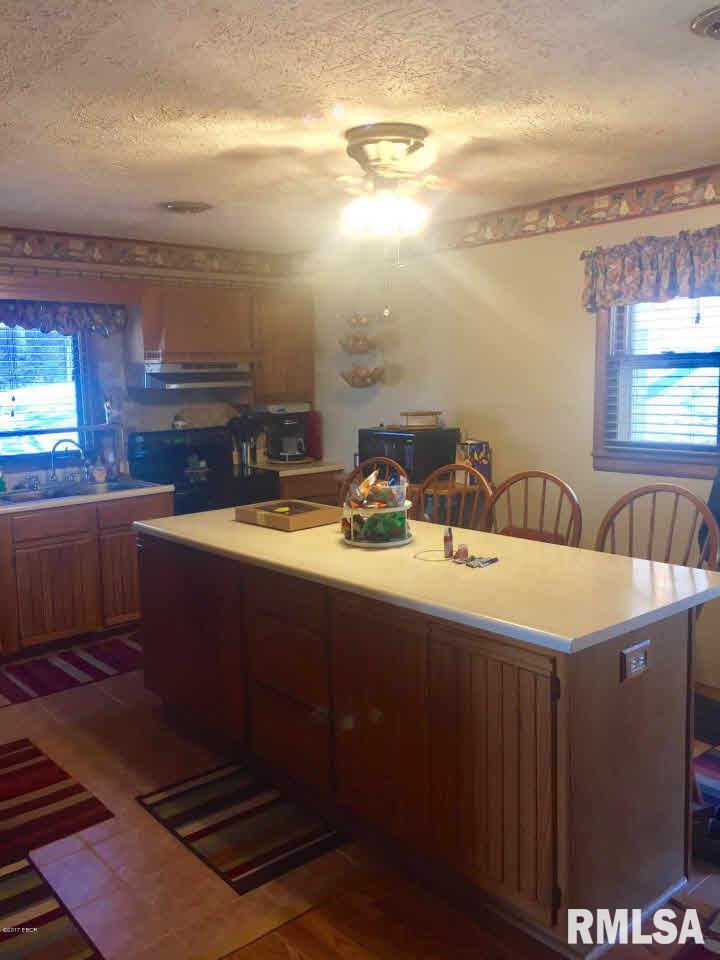 310 South Walnut Grove Road New Burnside, IL 62967 - Photo 14 of 25