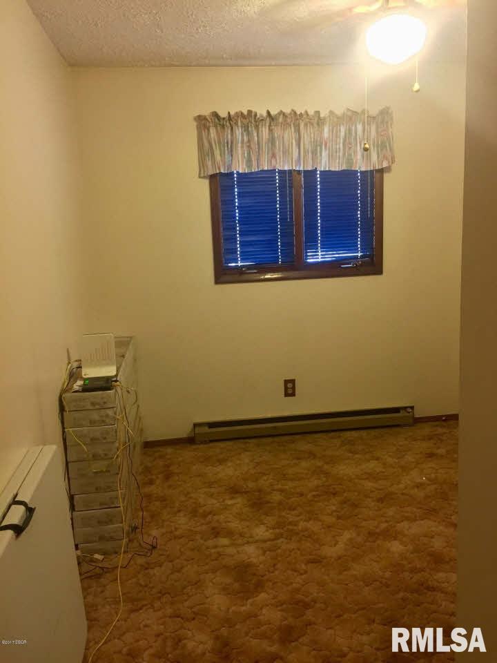 310 South Walnut Grove Road New Burnside, IL 62967 - Photo 21 of 25