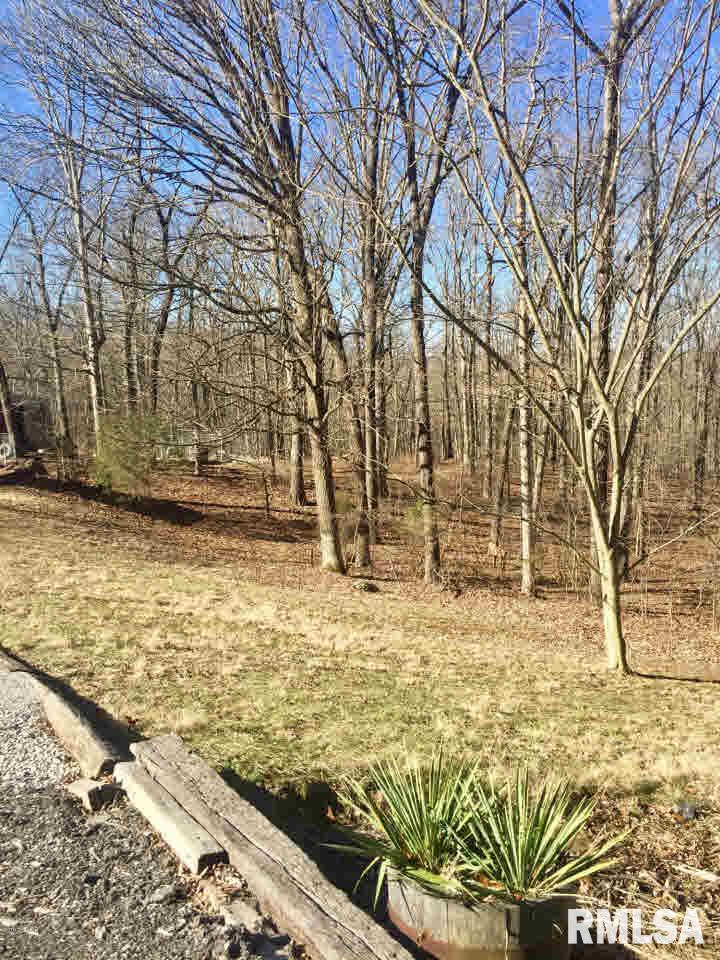 310 South Walnut Grove Road New Burnside, IL 62967 - Photo 7 of 25