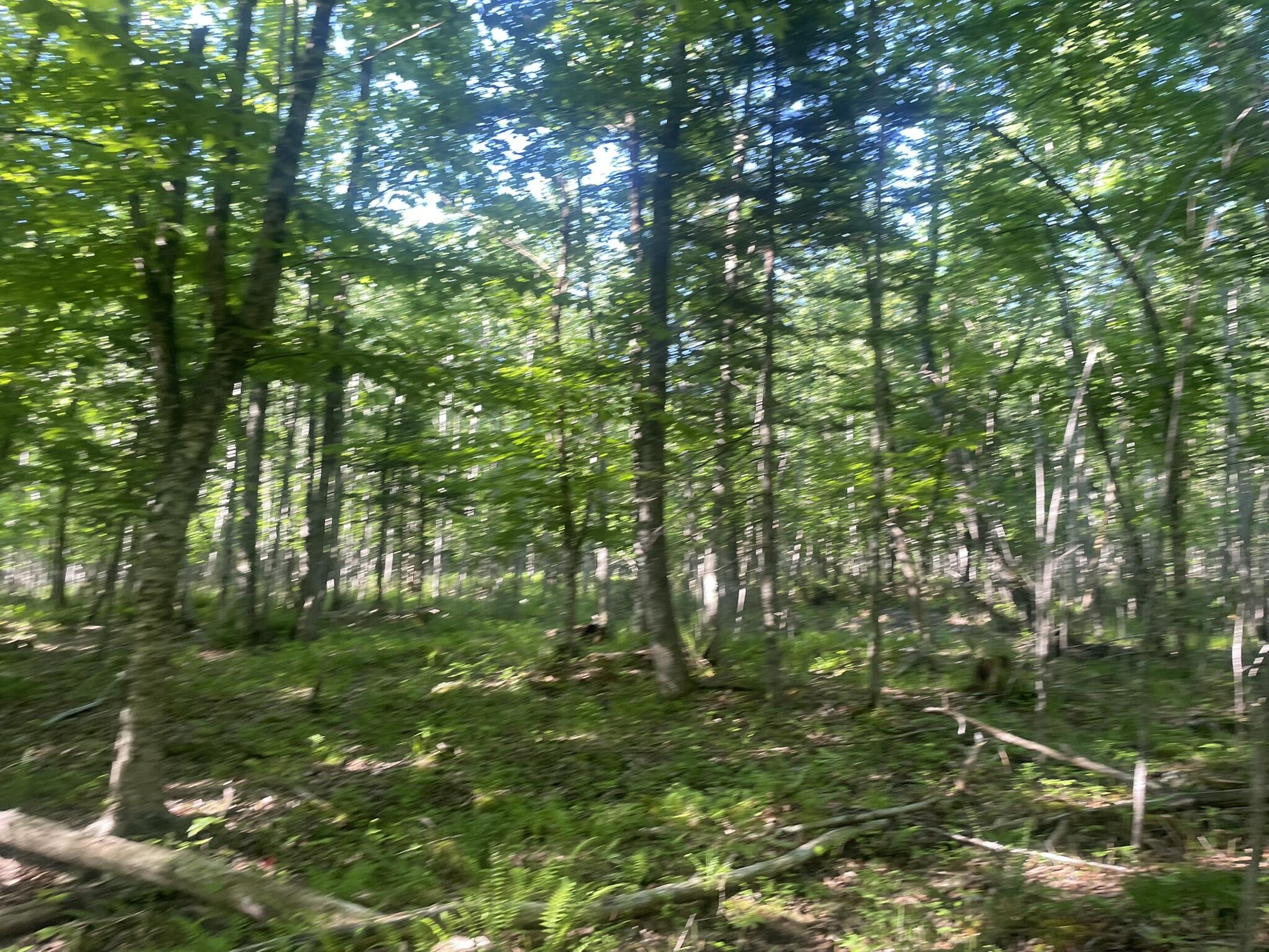 0 Macomber Road Readfield, ME 04355 - Photo 49 of 61 IMG_5684