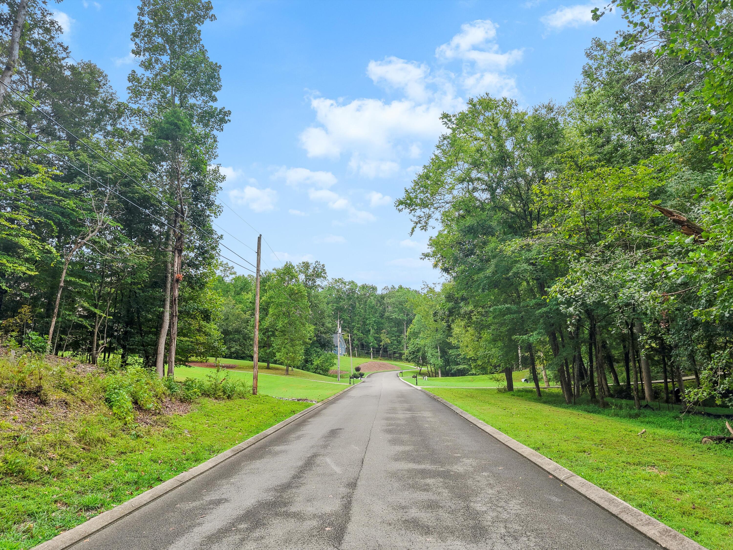 3093 Hidden Lake Road Dalton, GA 30721 - Photo 11 of 14 07-DJI_20250813104525_0942_D