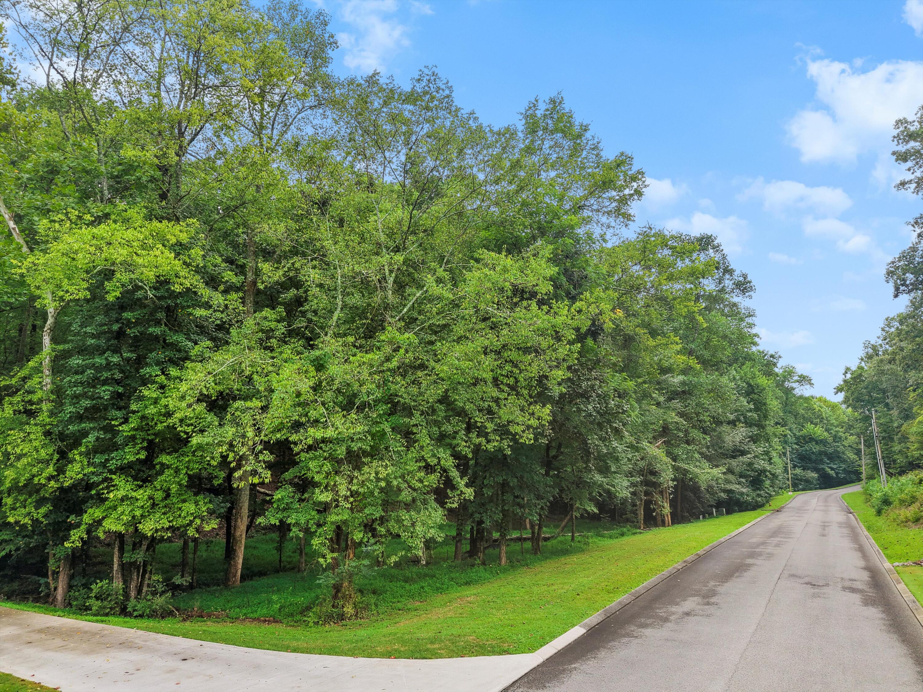 3093 Hidden Lake Road Dalton, GA 30721 - Photo 5 of 14 10-DJI_20250813104641_0957_D