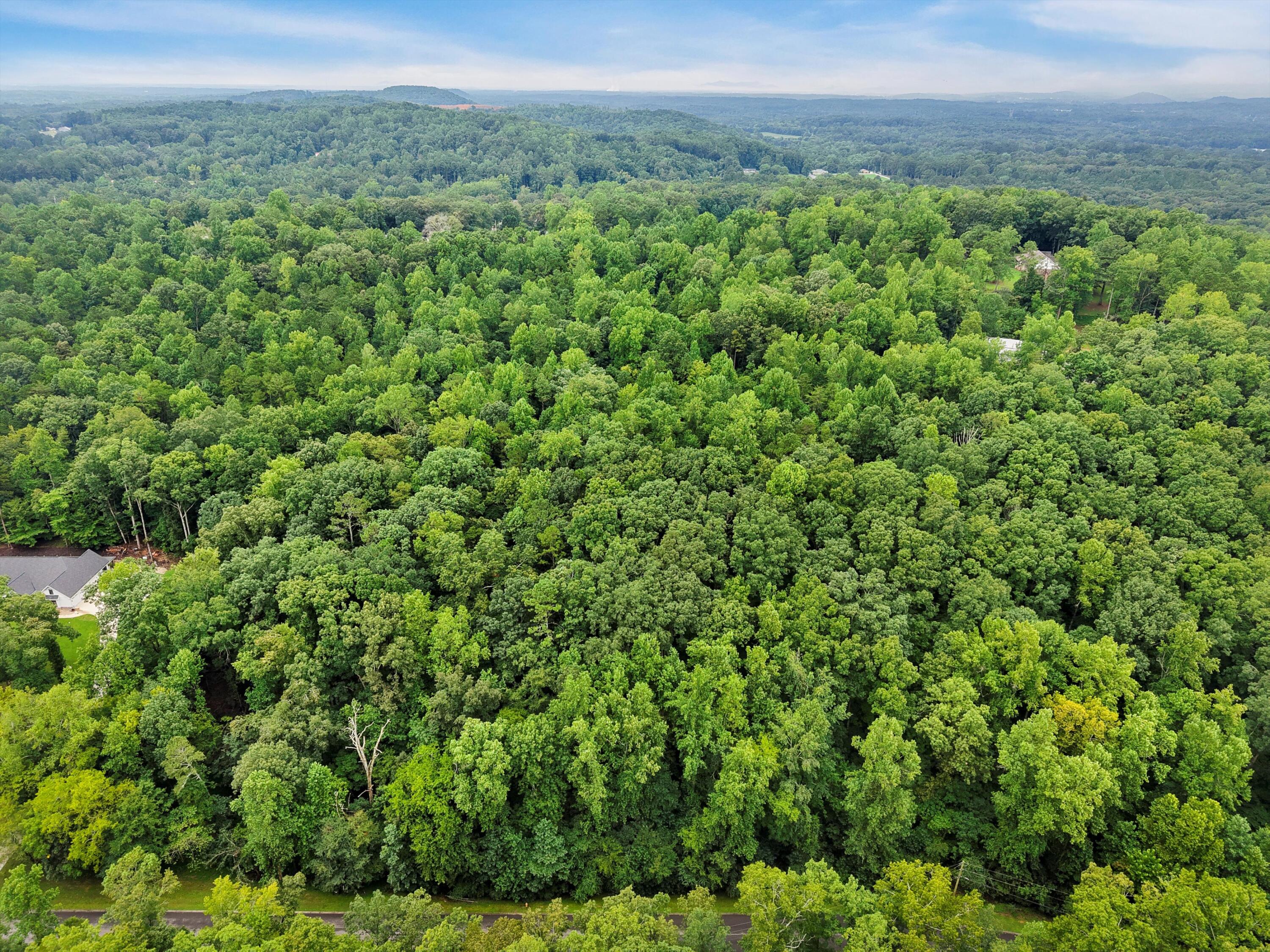 3093 Hidden Lake Road Dalton, GA 30721 - Photo 6 of 14 02-DJI_20250813104158_0910_D