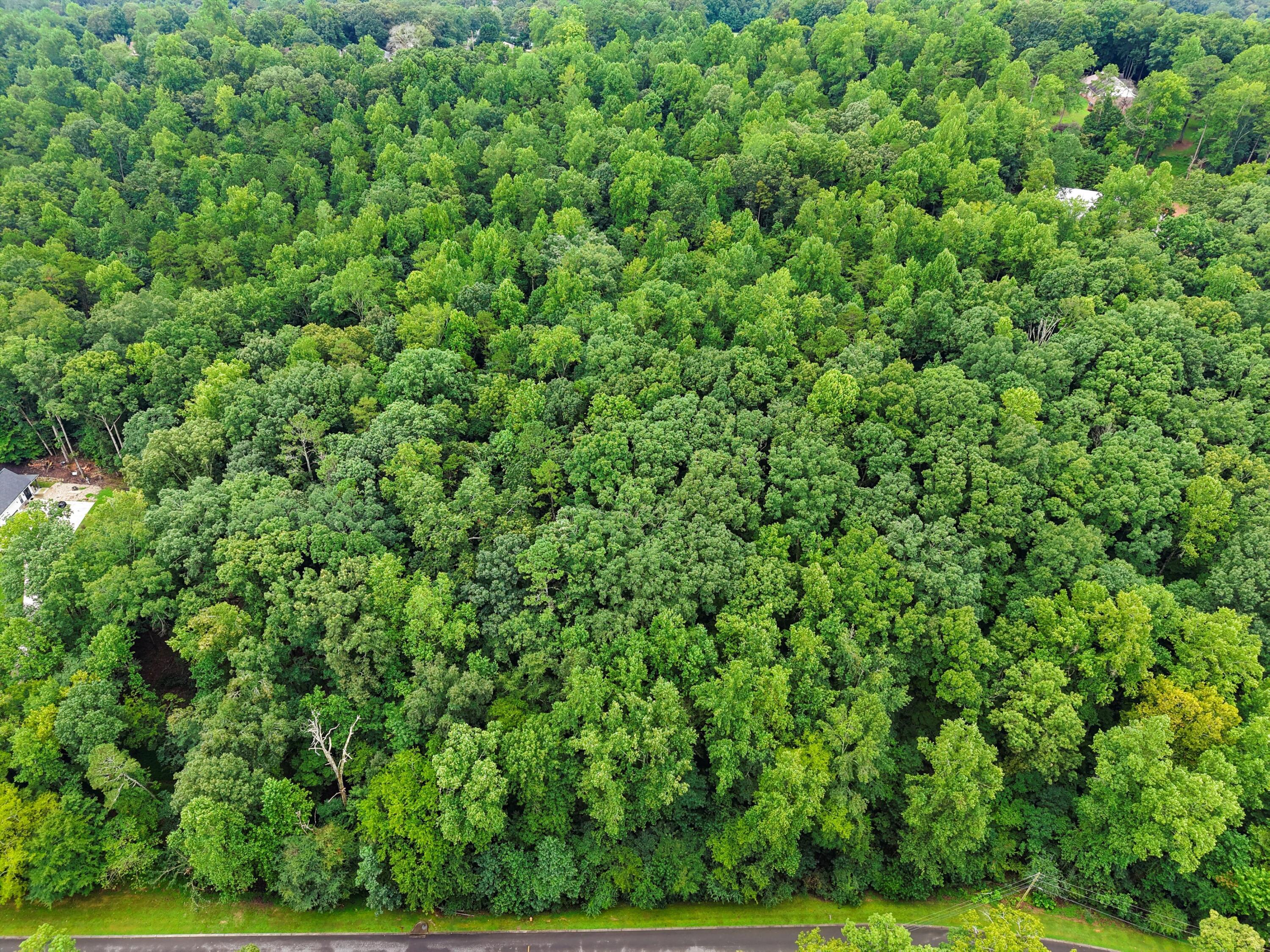 3093 Hidden Lake Road Dalton, GA 30721 - Photo 7 of 14 03-DJI_20250813104148_0905_D