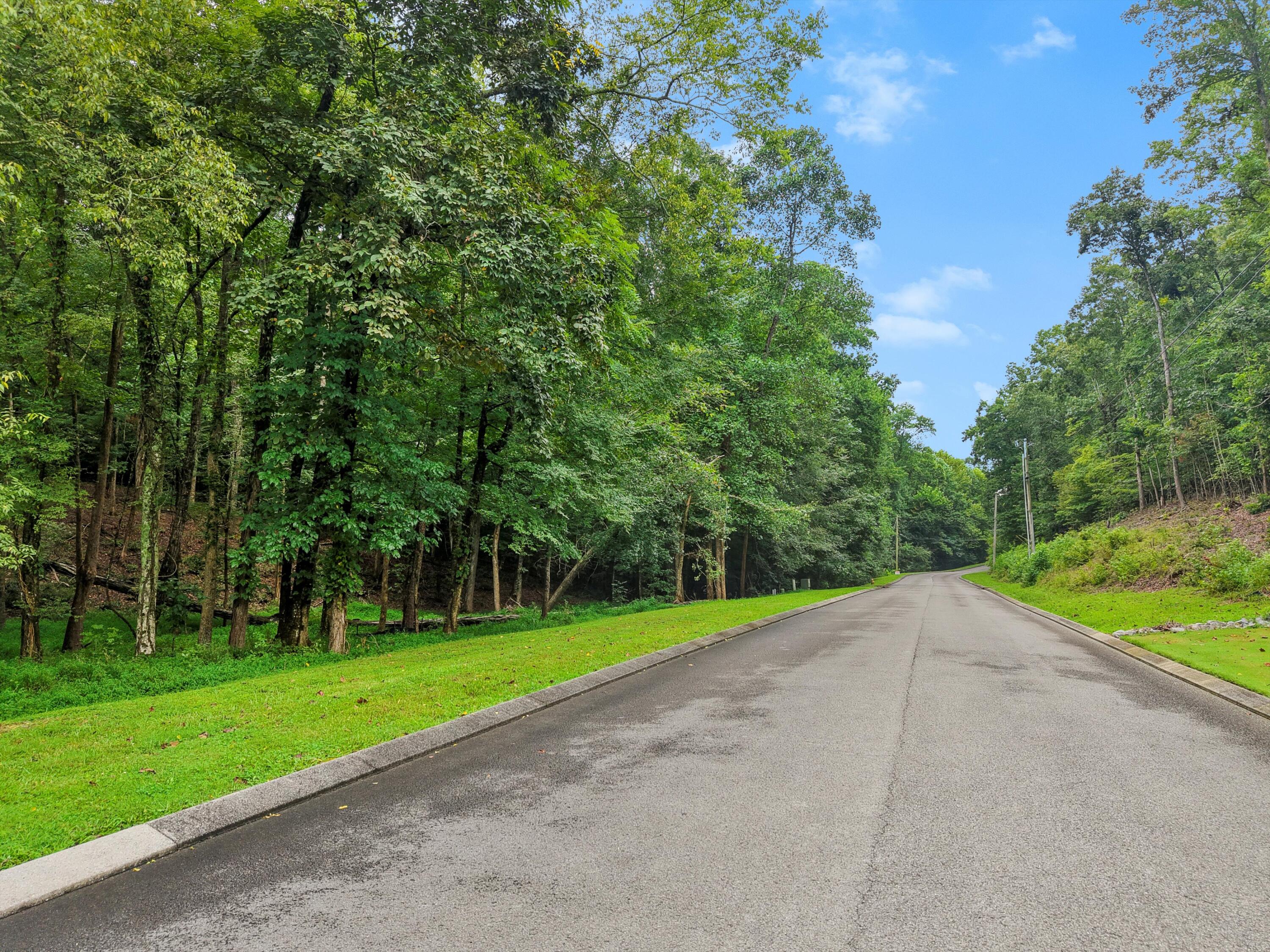 3093 Hidden Lake Road Dalton, GA 30721 - Photo 9 of 14 05-DJI_20250813104443_0932_D
