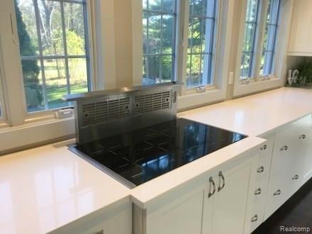 5210 Longmeadow Road Bloomfield Hills, MI 48304 - Photo 10 of 30 IMG_6014 (440x330).jpg
