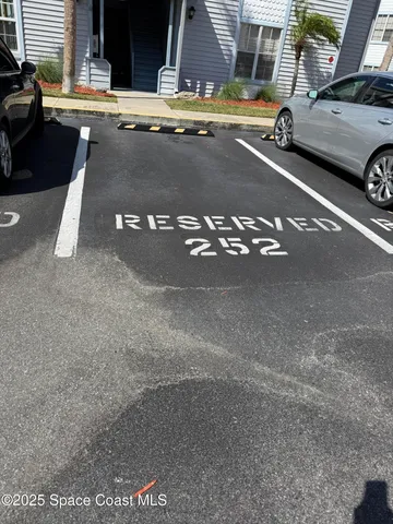 a view of a backyard with plants and a large tree