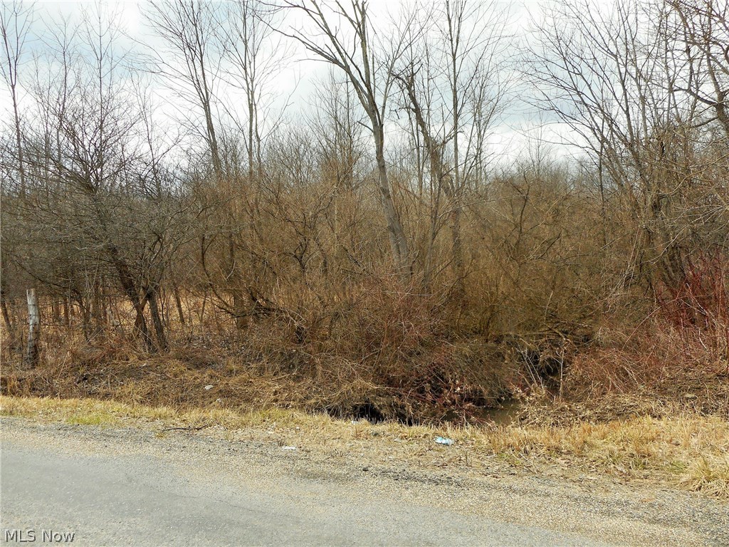 Jones Road Diamond, OH 44412 - Photo 8 of 9 Gallery Image 8