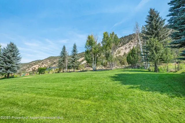 a view of a grassy field with trees