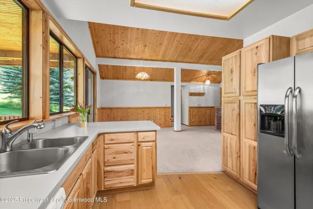 a kitchen with a refrigerator and a sink