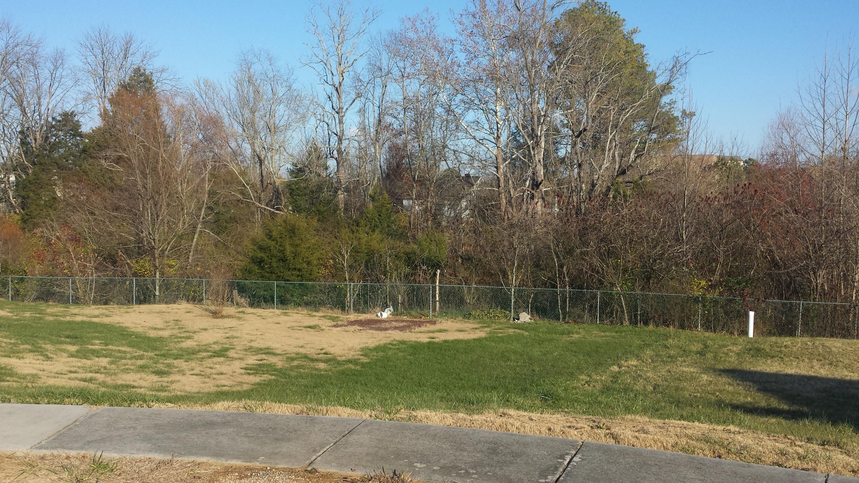 7402 Openview Lane Corryton, TN 37721 - Photo 1 of 1 20171201_152042