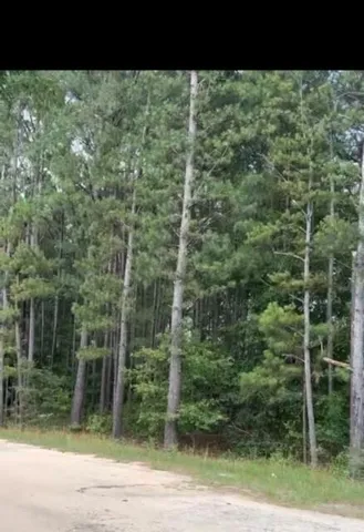 $30,000 | 0 Bermuda Hill, Trenton, SC 29847