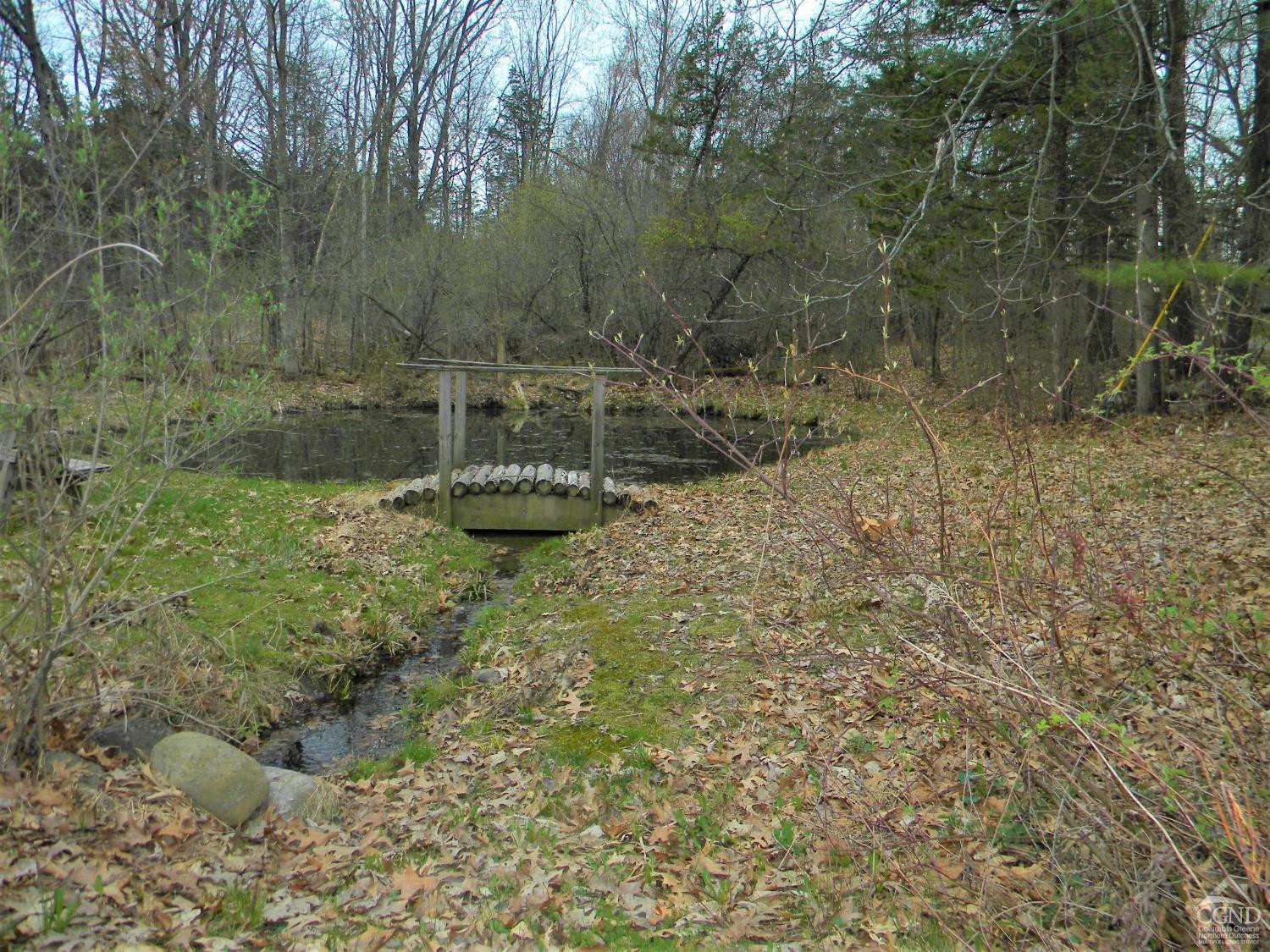 149 Spring Road Hudson, NY 12534 - Photo 27 of 30 a view of a bird of water