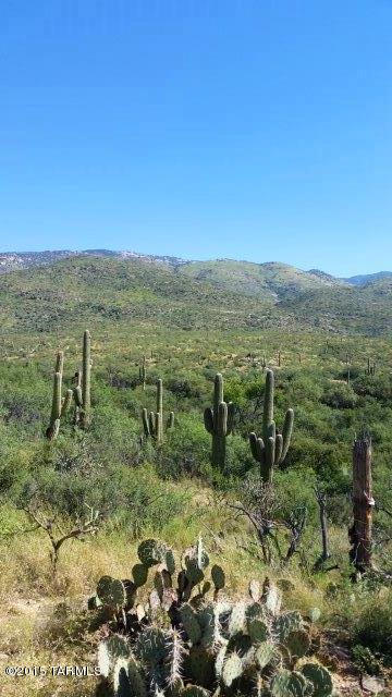 0 South X9 Ranch Road Vail, AZ 85641 - Photo 6 of 39 Gallery Image 6