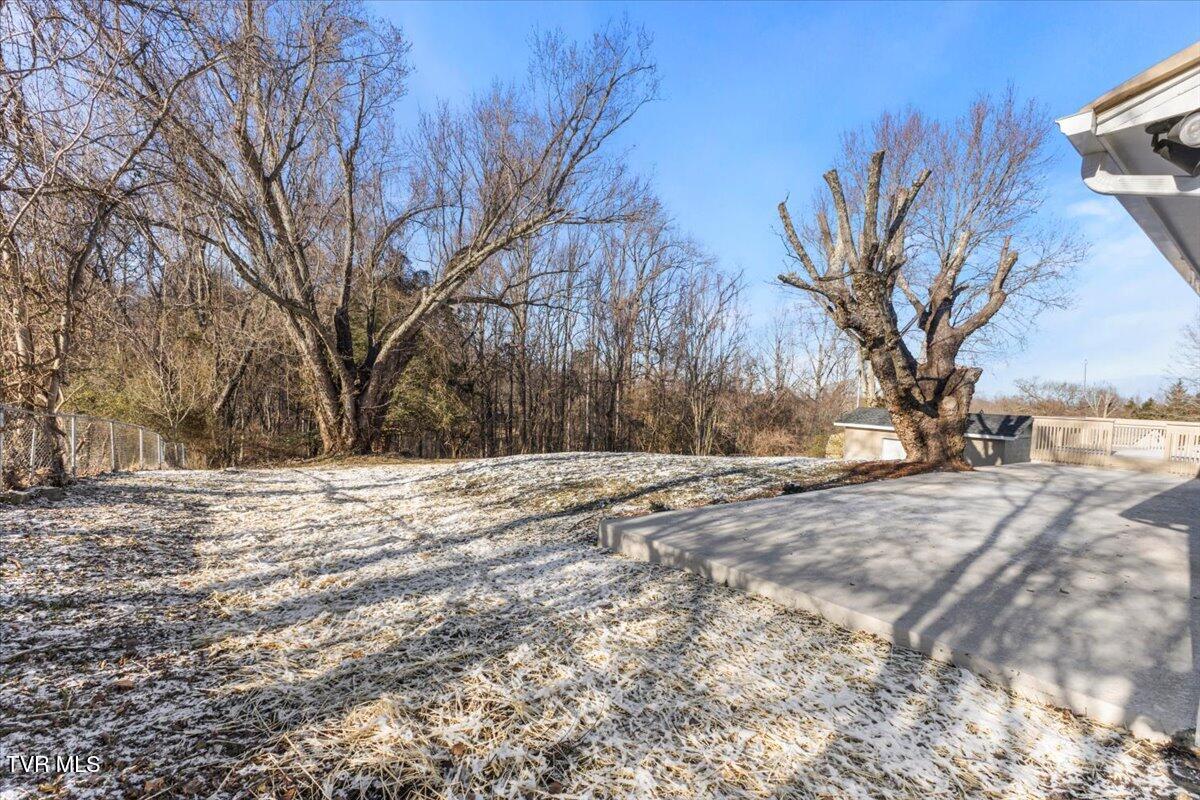 3516 McKinley Road Johnson City, TN 37604 - Photo 8 of 54 08-128A6038
