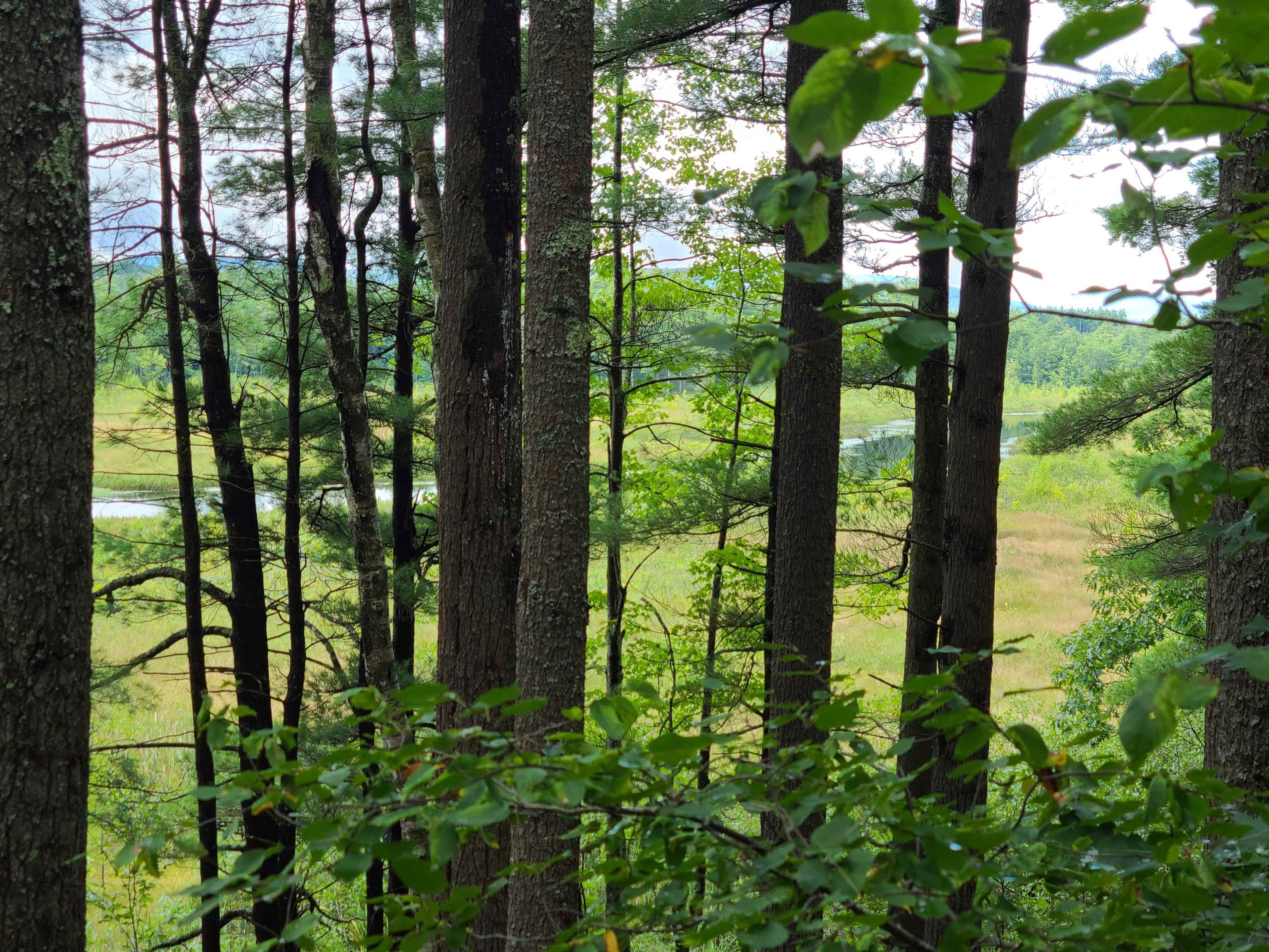 172 Windswept Road Alton, NH 03809 - Photo 5 of 28 Gallery Image 5