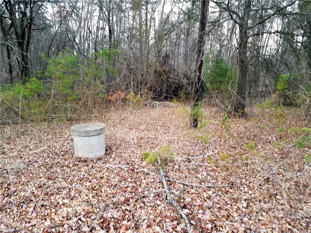 448 Peach Orchard Road Mayodan, NC 27027 - Photo 5 of 7 Gallery Image 5