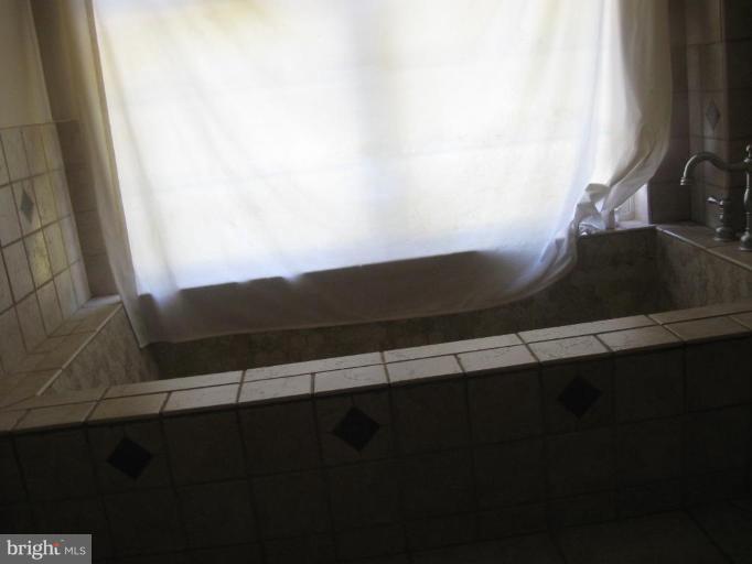 11796 River Road Ridgely, MD 21660 - Photo 3 of 29 Jacuzzi Tub