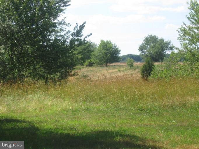 11796 River Road Ridgely, MD 21660 - Photo 22 of 29 Wooded View / Acreage 2