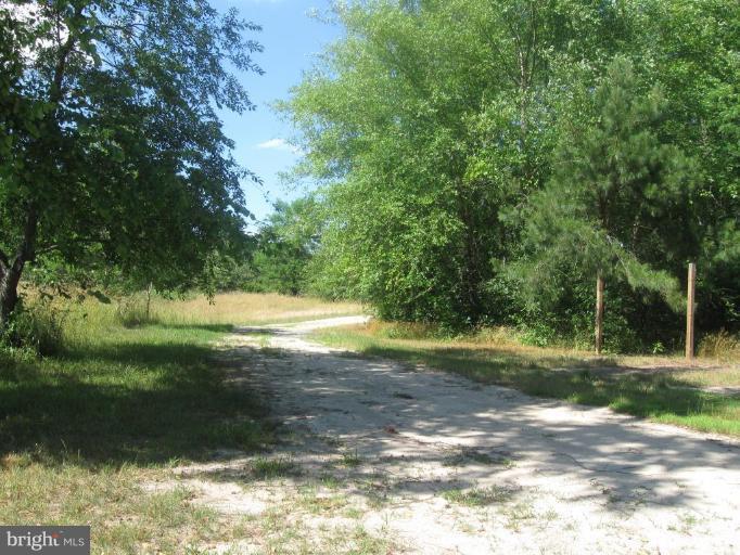 11796 River Road Ridgely, MD 21660 - Photo 28 of 29 Gravel Driveway