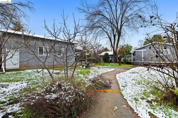a front view of a house with a yard covered with trees