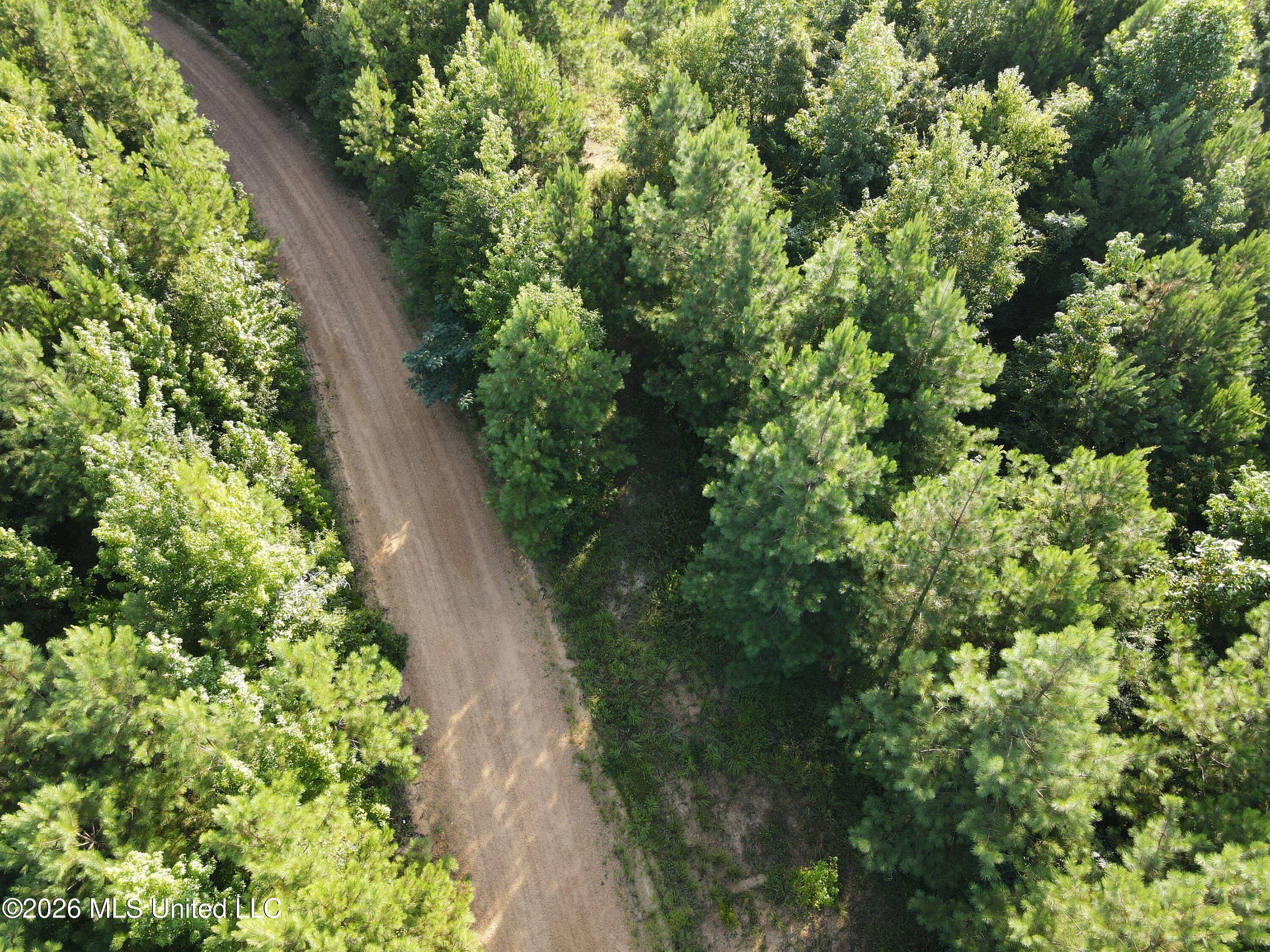 Cupit Rd Union Union Church, MS 39668 - Photo 26 of 61 DJI_0732