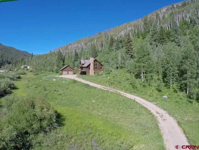 a view of a backyard with tall trees