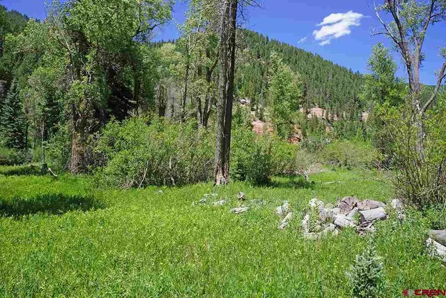 a night view of a garden
