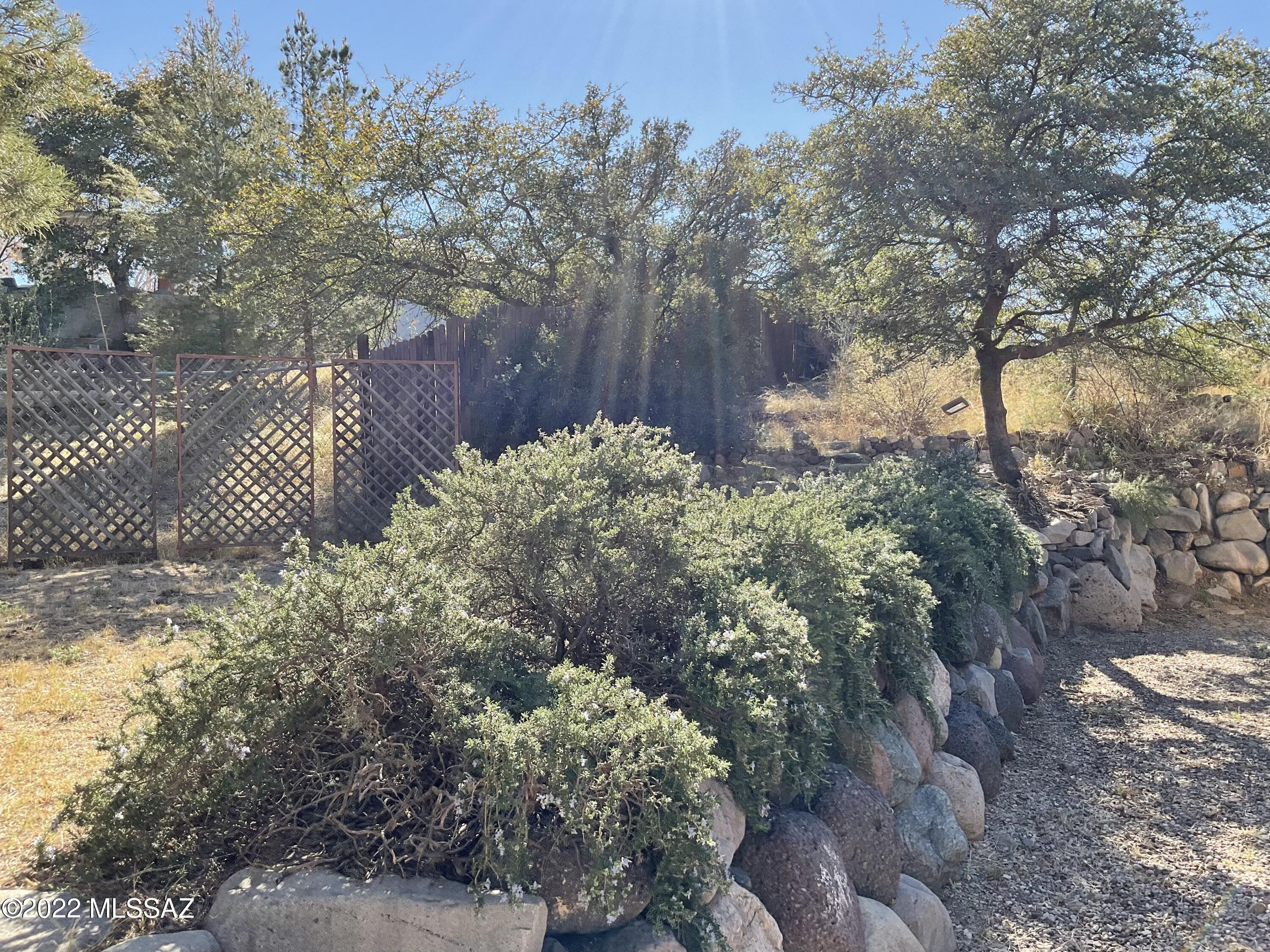 263 North Decatur Circle Oracle, AZ 85623 - Photo 13 of 37