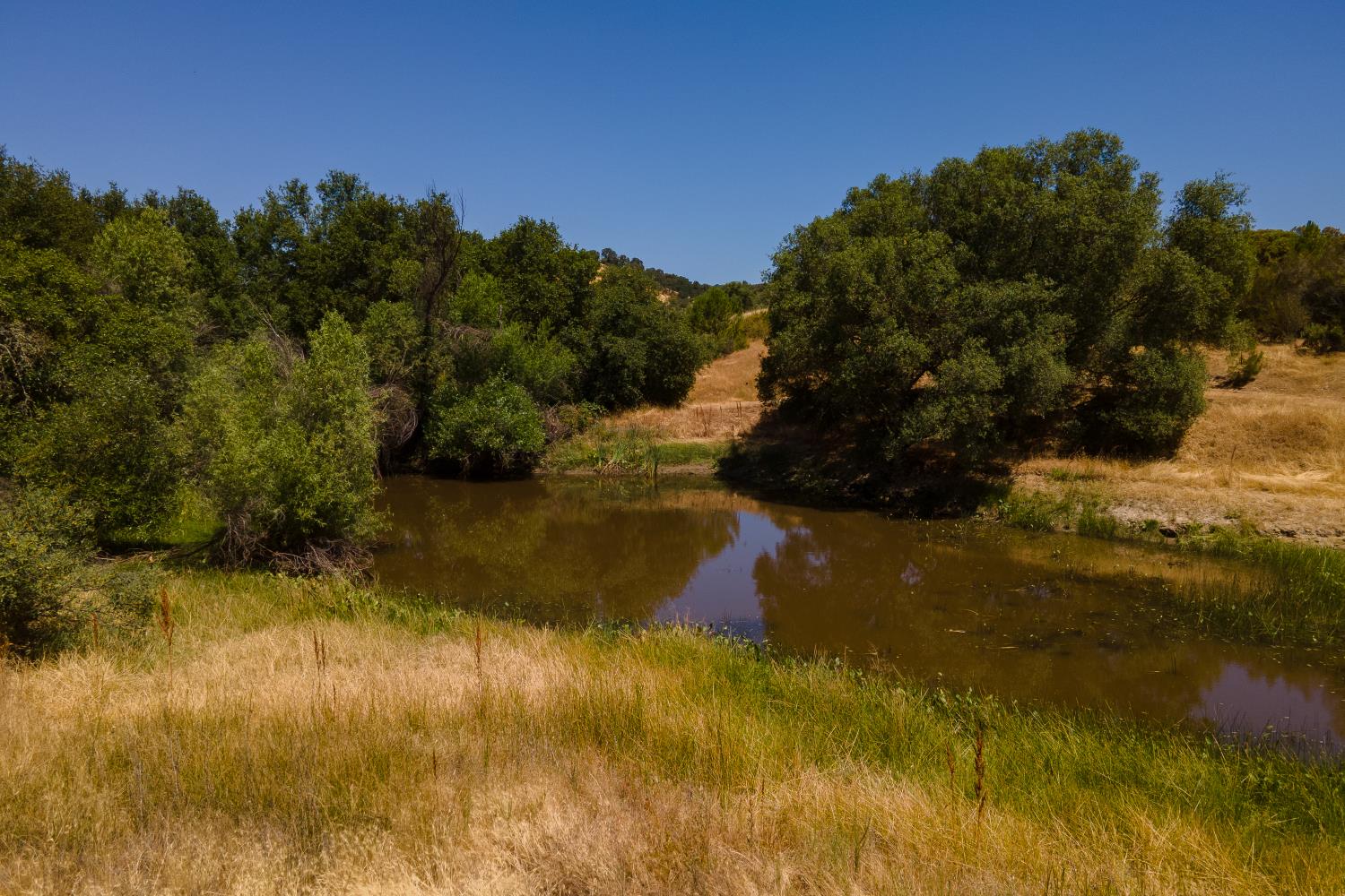 0 Stony Creek Road Ione, CA 95640 - Photo 20 of 70