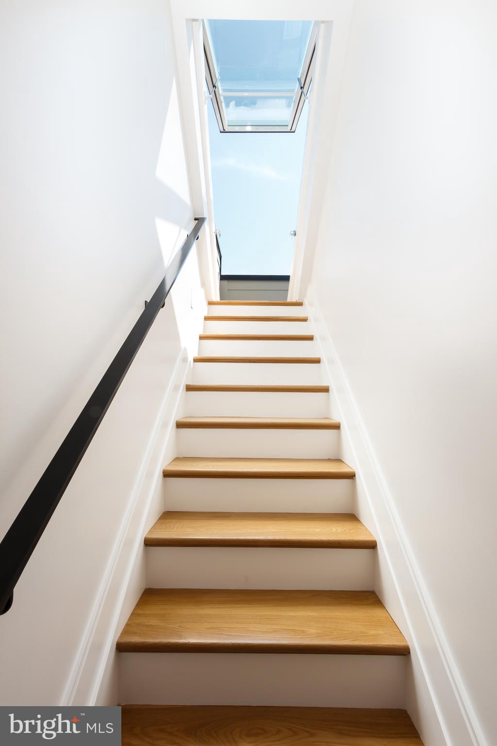 1325 D Street Southeast Washington, DC 20003 - Photo 16 of 16 Staircase to hatch for Rooftop Terrace all homes