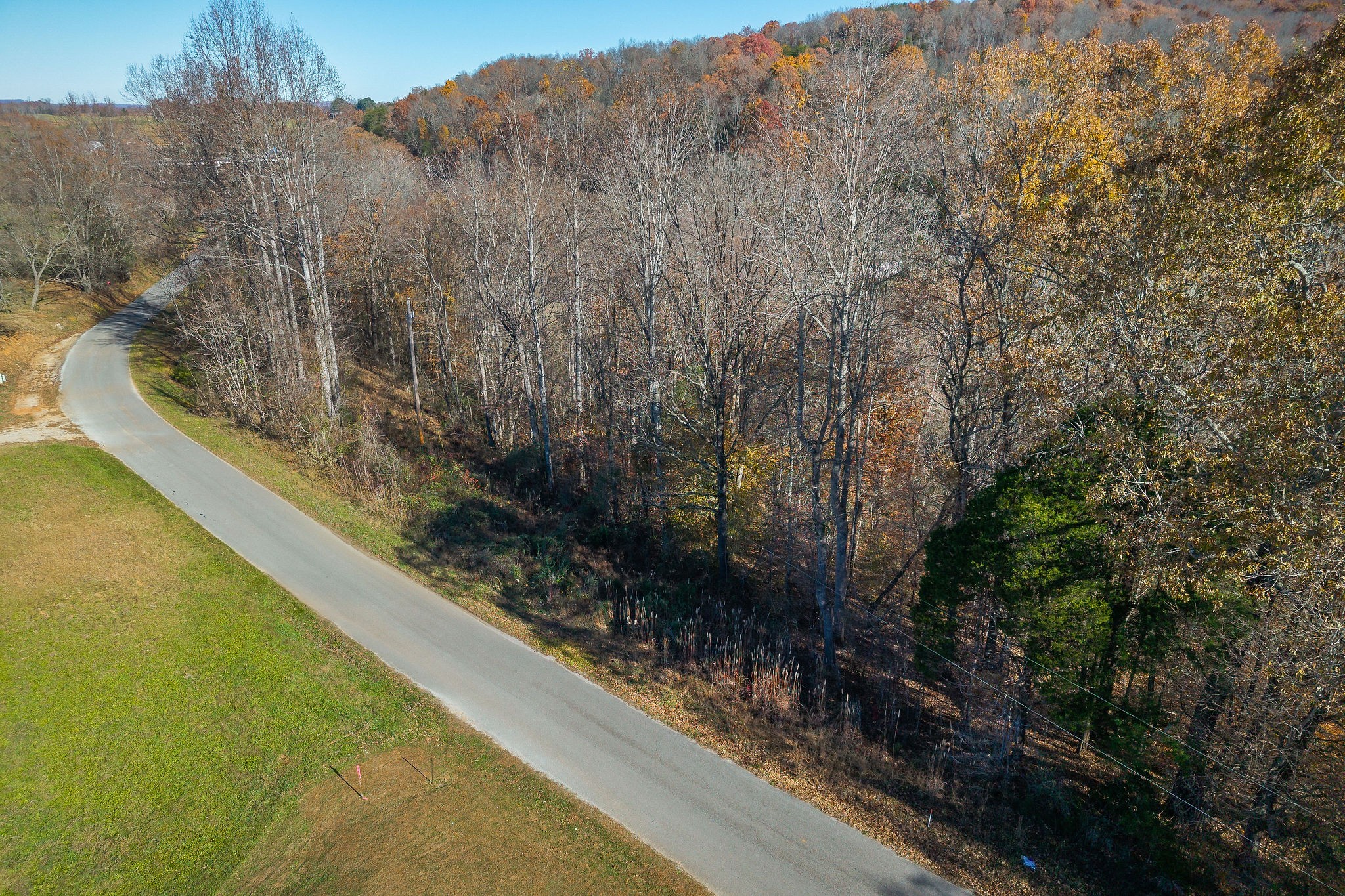 a view of a forest from a balcony