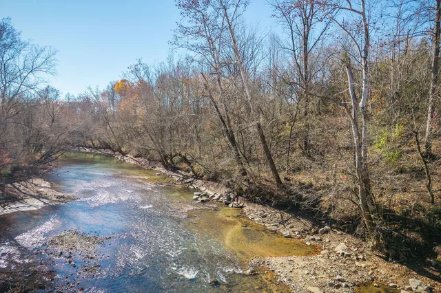 a view of a yard with trees