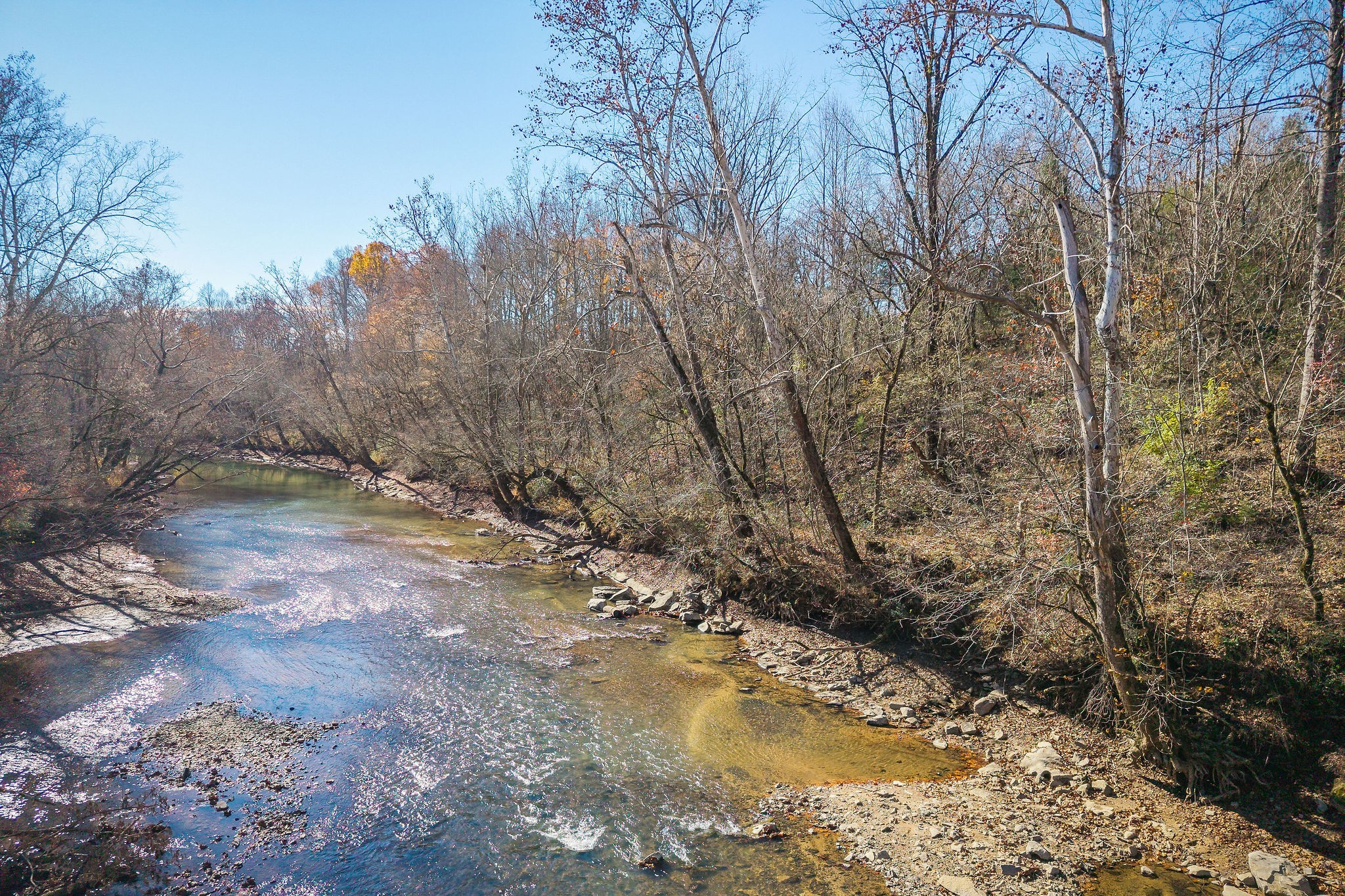 0 East Bethlehem Road East Doyle, TN 38559 - Photo 2 of 18 a view of a yard with trees
