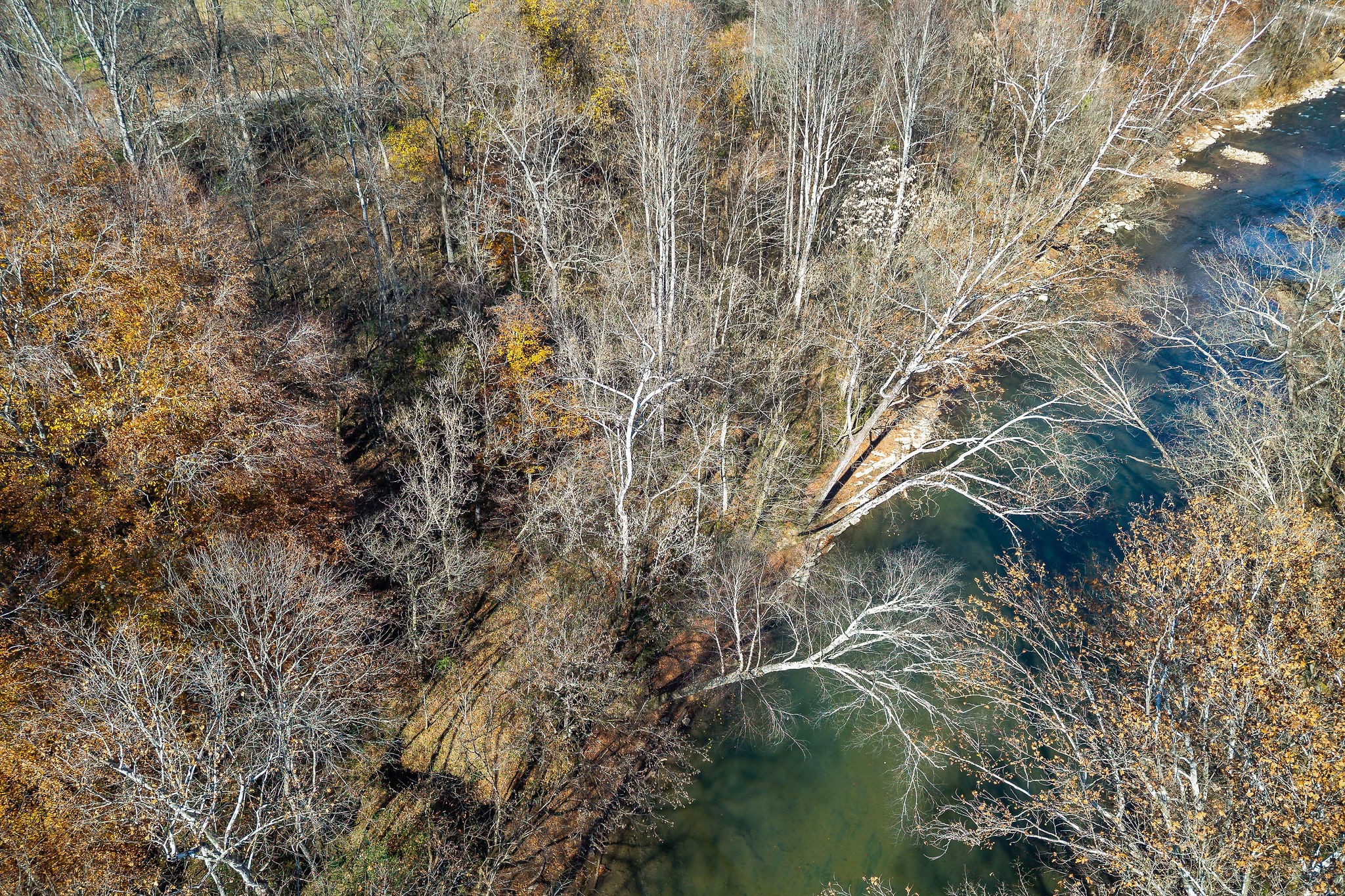 0 East Bethlehem Road East Doyle, TN 38559 - Photo 7 of 18 a backyard of a house