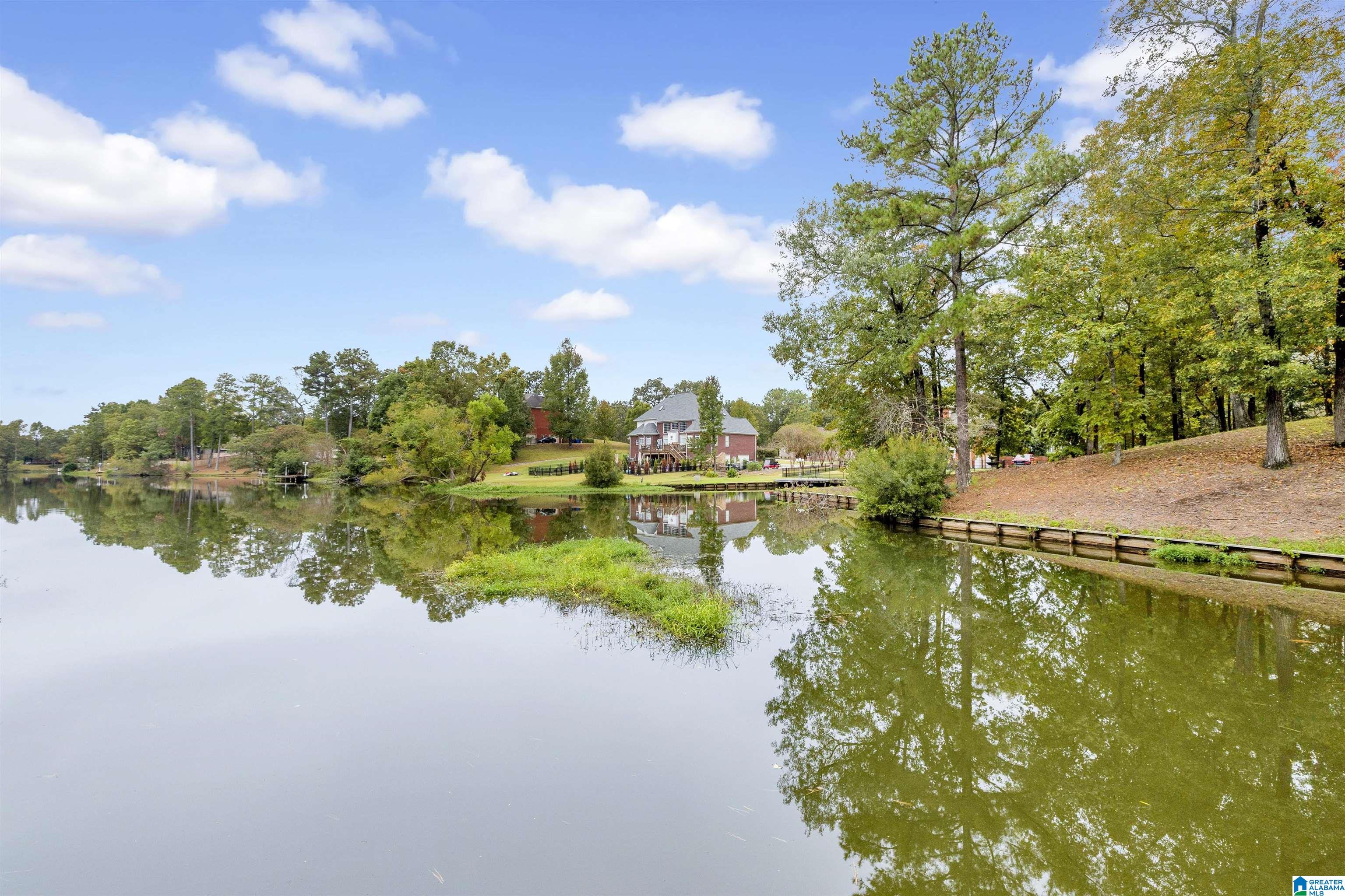 139 Thoroughbred Lane Alabaster, AL 35007 - Photo 26 of 29