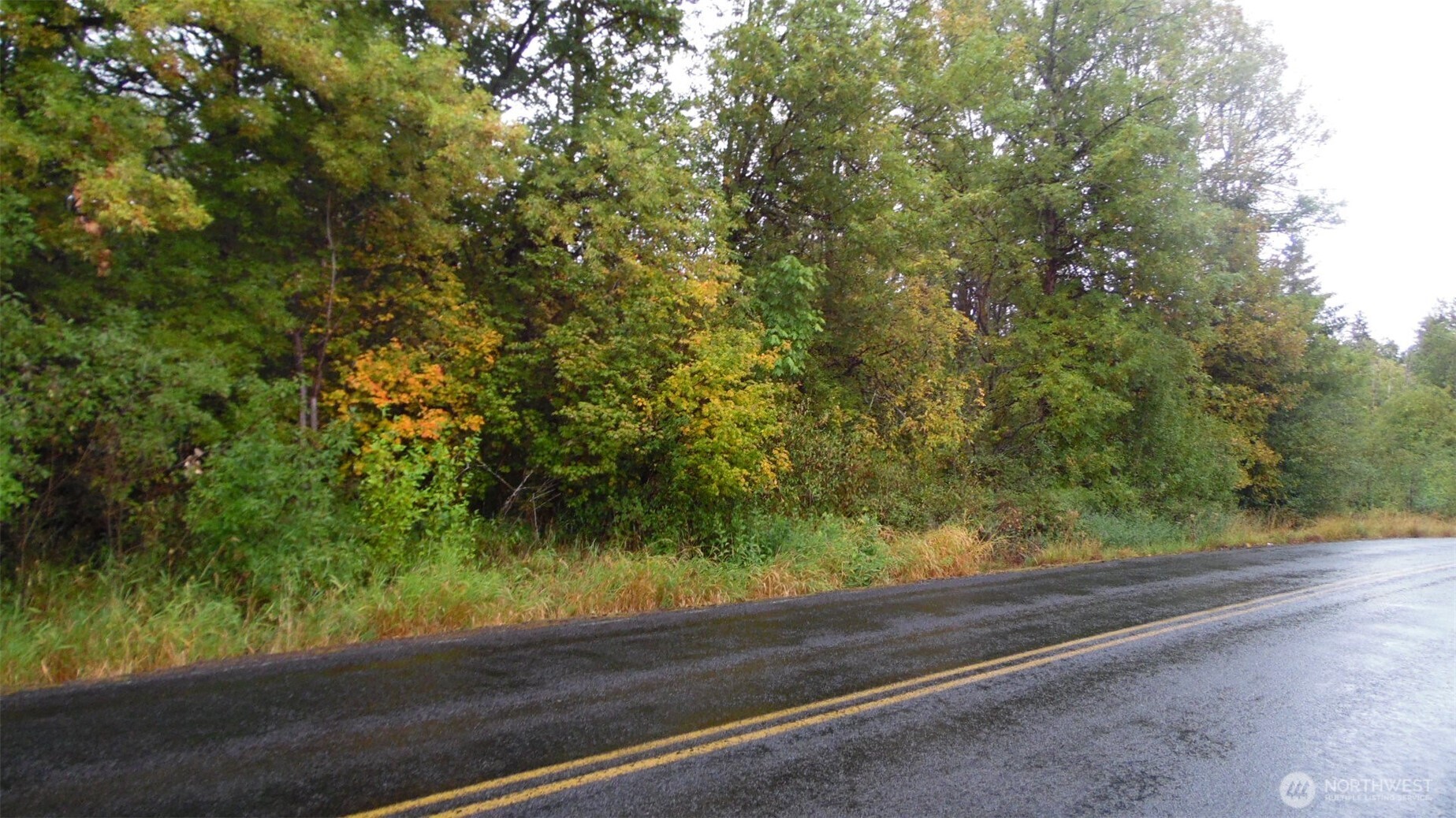 0 View Ridge Road Onalaska, WA 98570 - Photo 4 of 7 a view of a yard with a tree