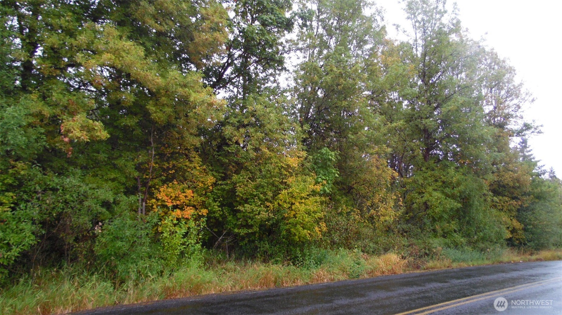 0 View Ridge Road Onalaska, WA 98570 - Photo 5 of 7 a view of a yard with a tree