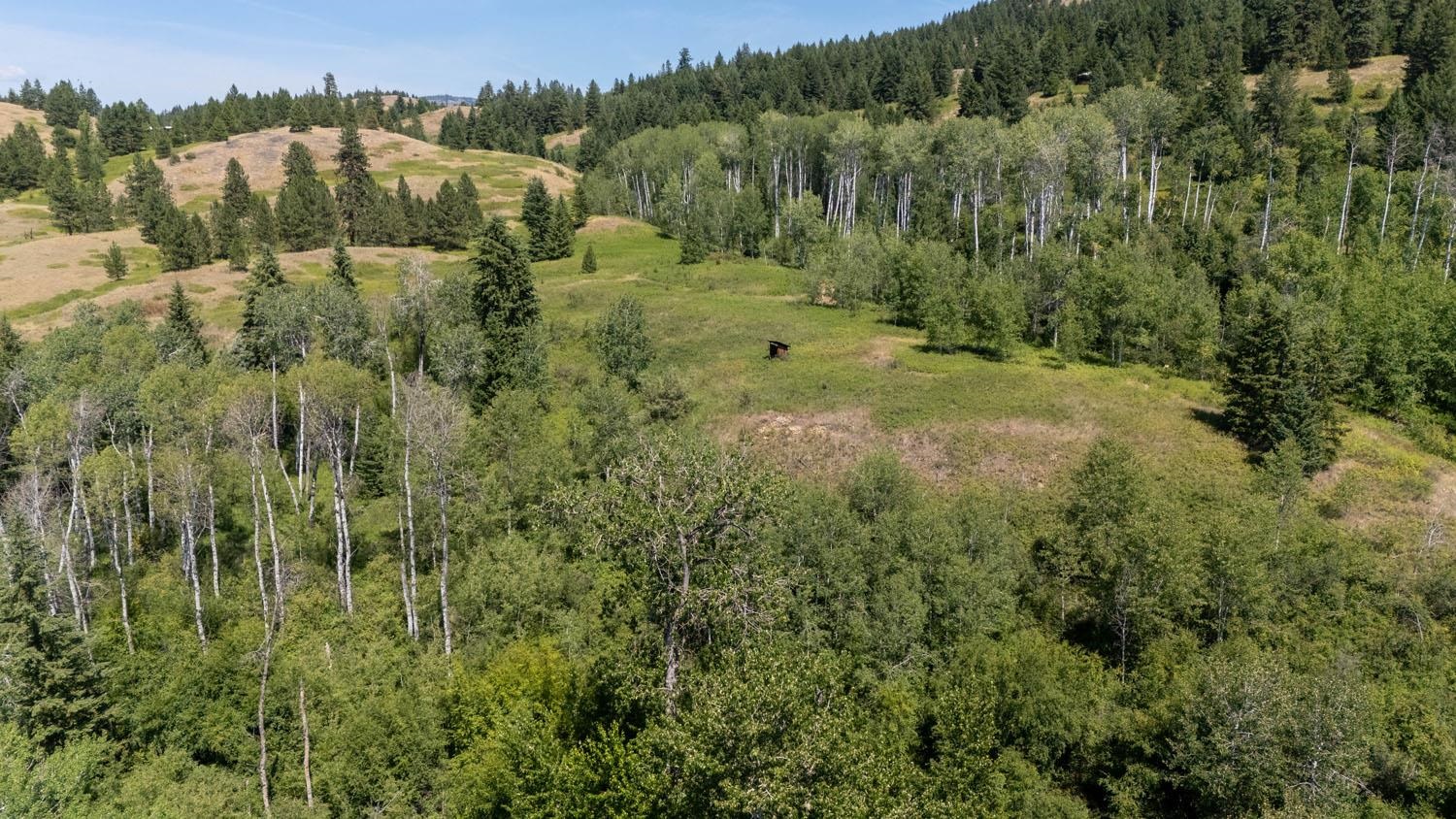 253 White Mountain Road Curlew, WA 99118 - Photo 43 of 49
