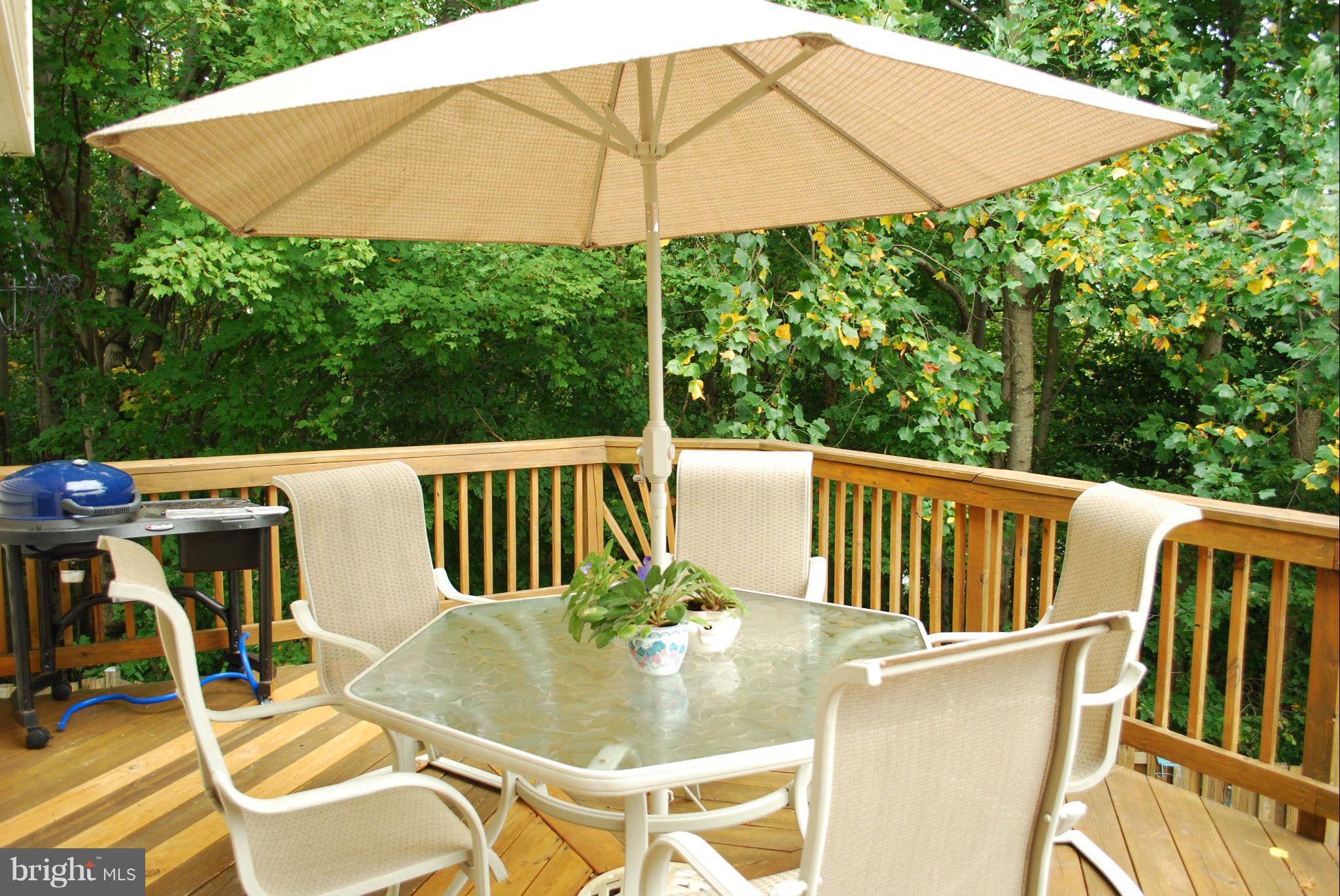 201 Ridgecrest Court Stafford, VA 22554 - Photo 8 of 21 Rear Deck