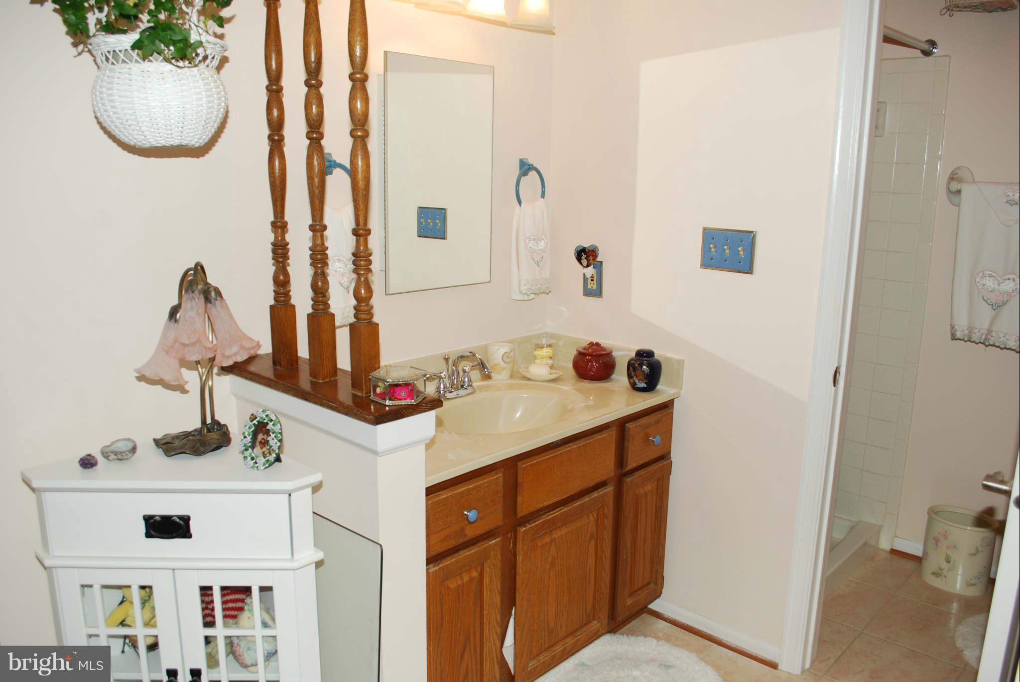 201 Ridgecrest Court Stafford, VA 22554 - Photo 10 of 21 Bath (Master)