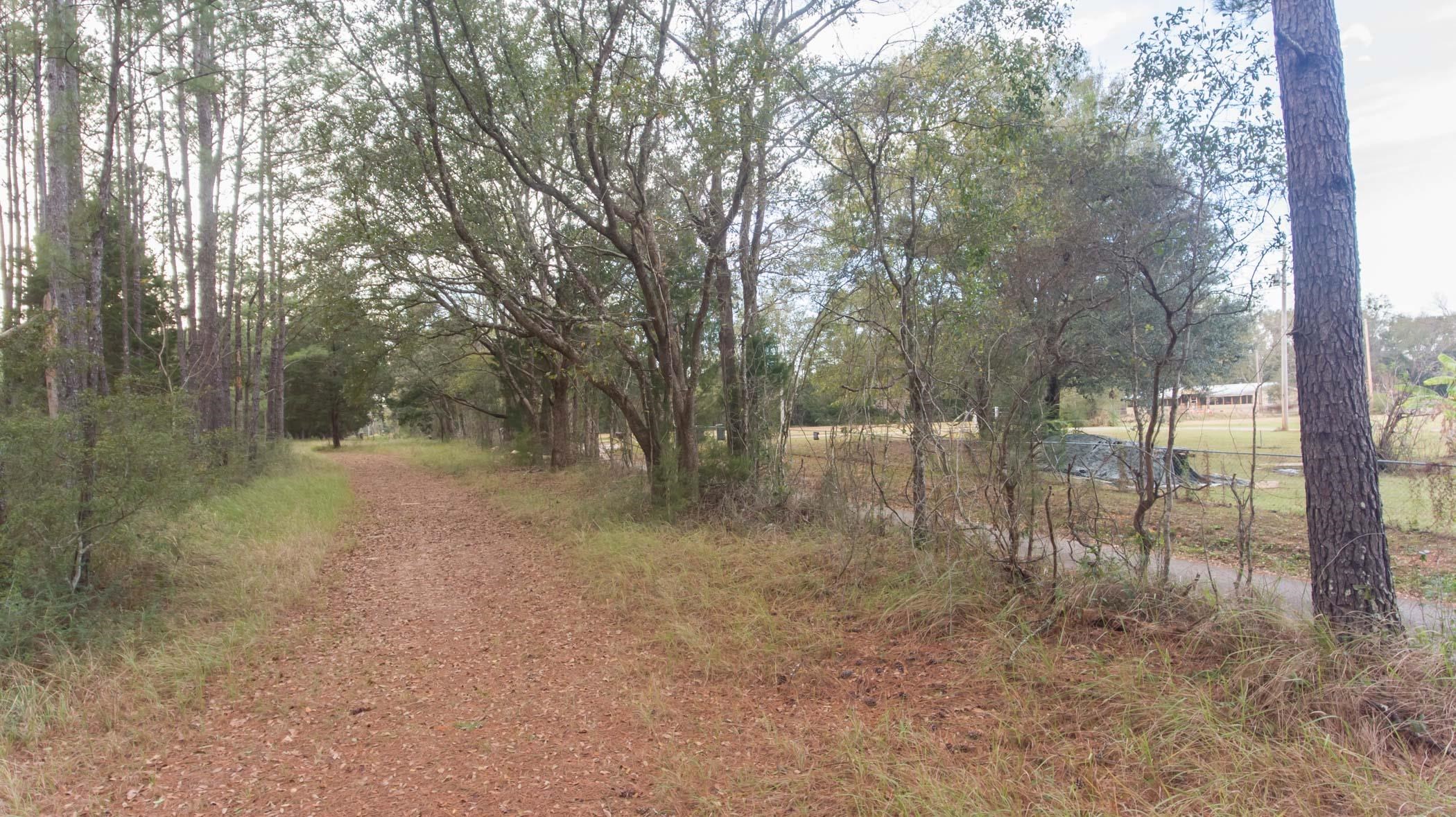 16185 Archie Flowers Road Bay Minette, AL 36507 - Photo 18 of 43