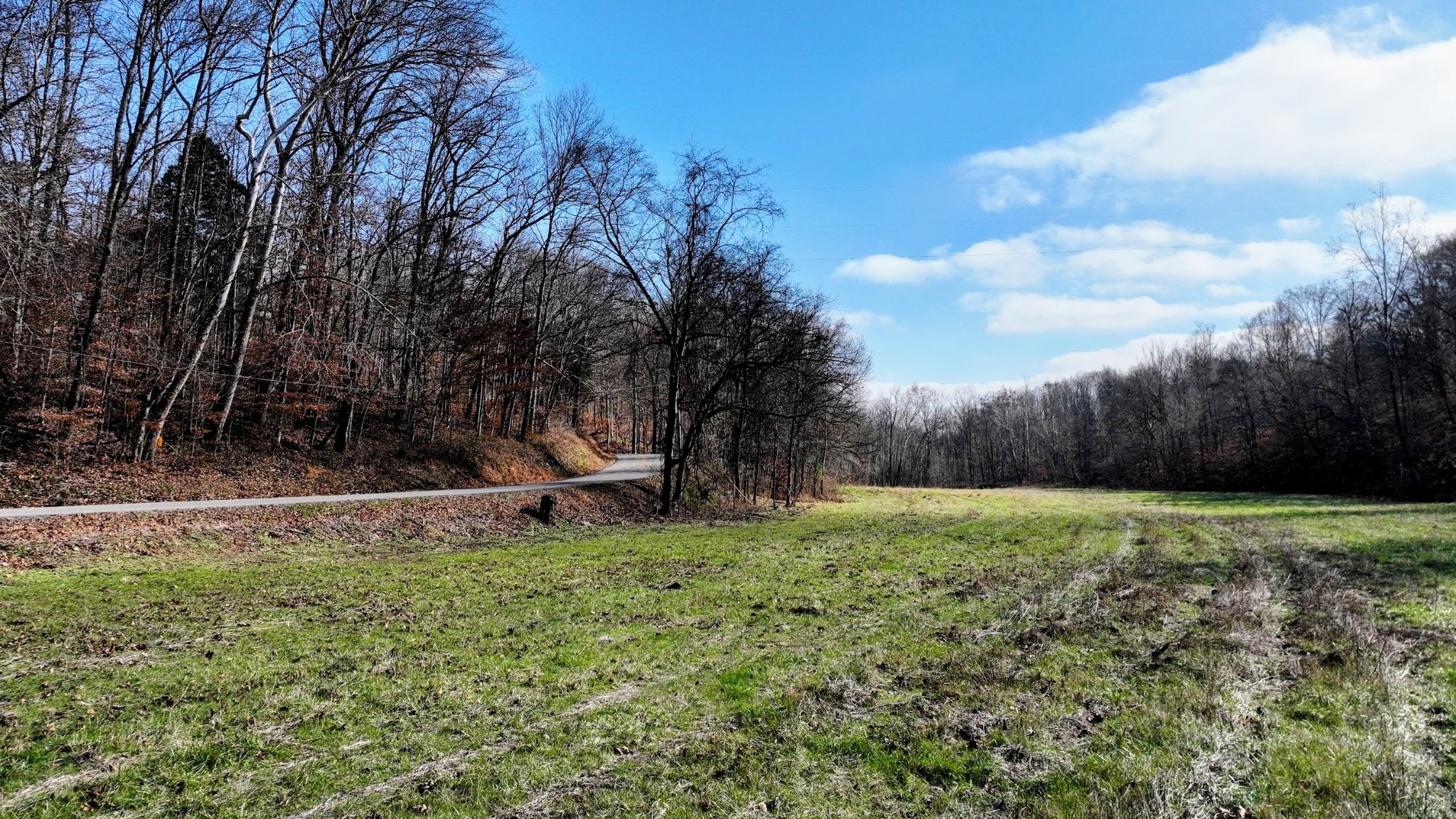 0 Kirkland Road Indian Mound, TN 37079 - Photo 2 of 9 a view of a park with large trees