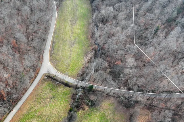 a view of a yard in a backyard